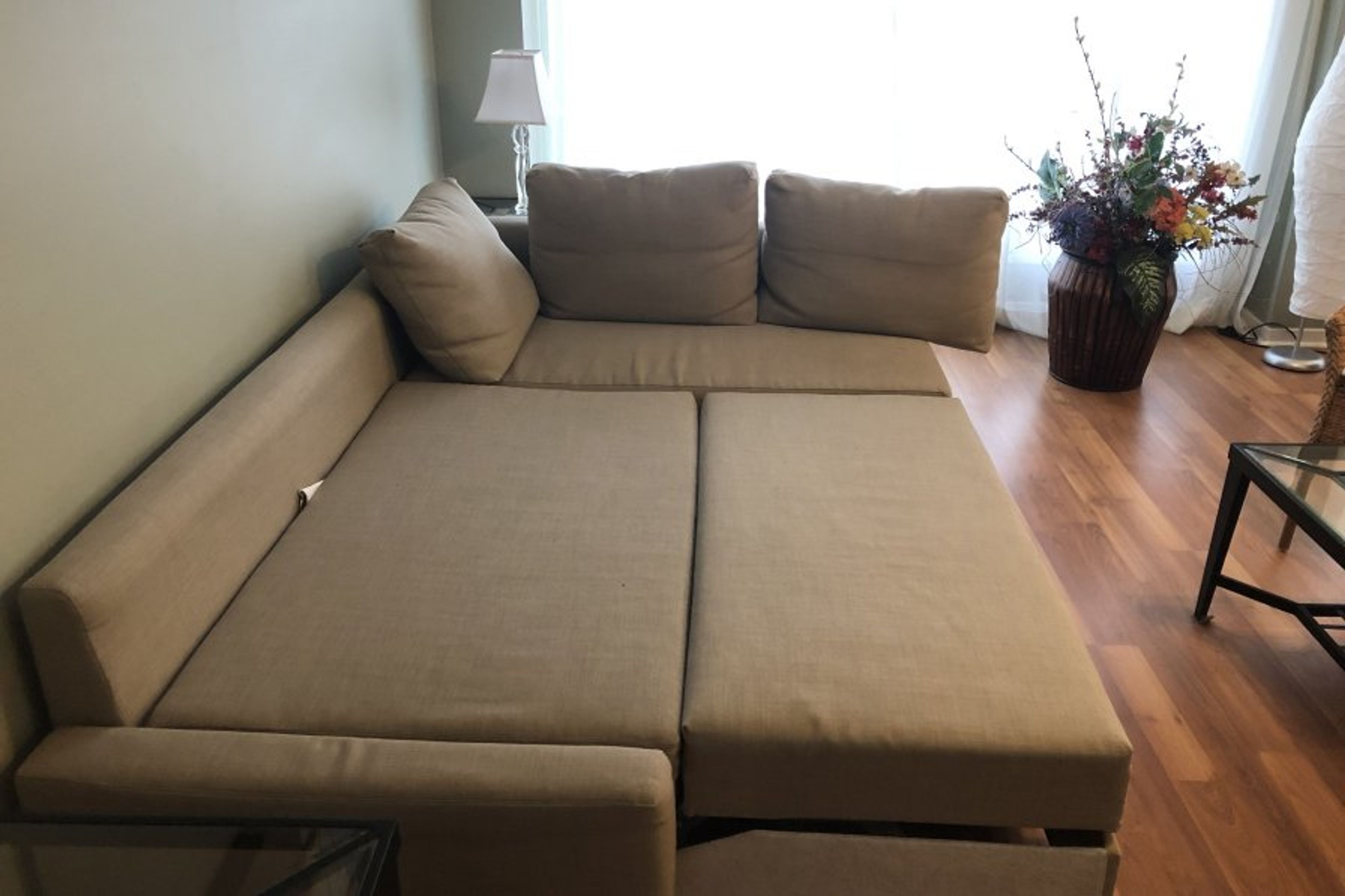 Living Room - Queen size sofa bed for two people