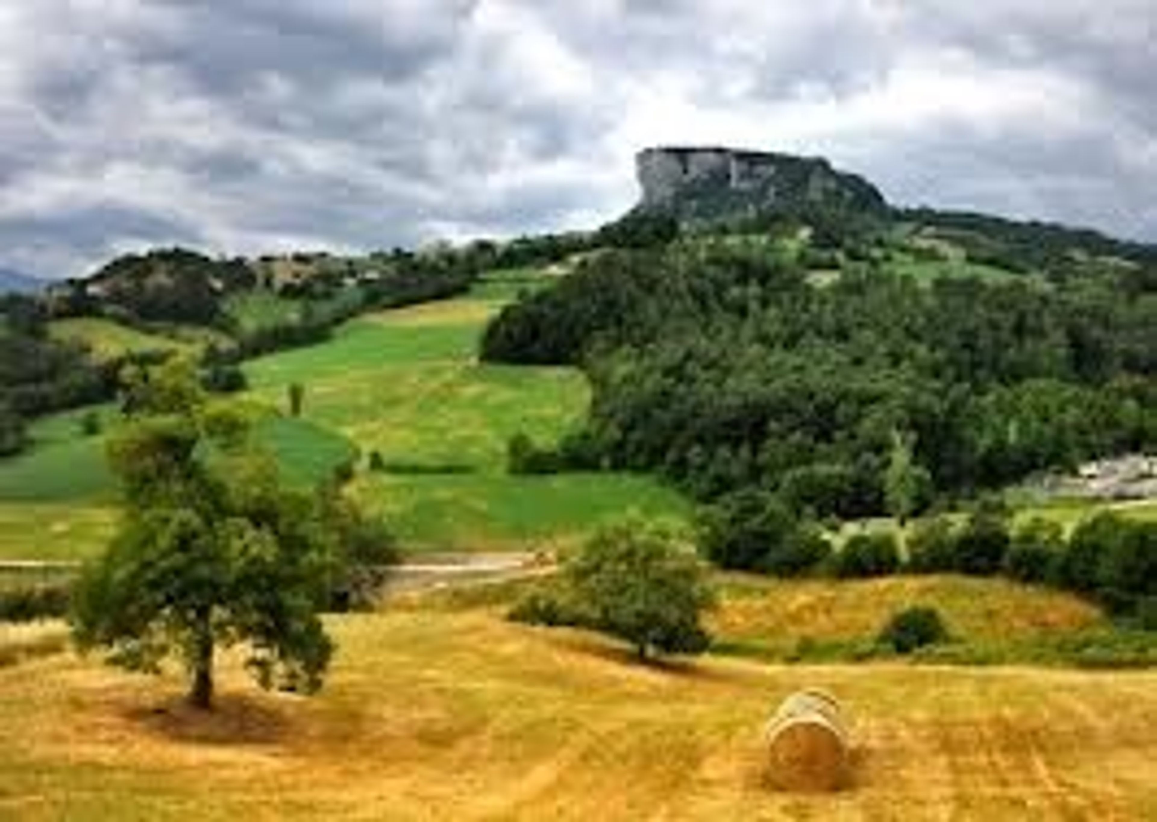 Farm hills in the area