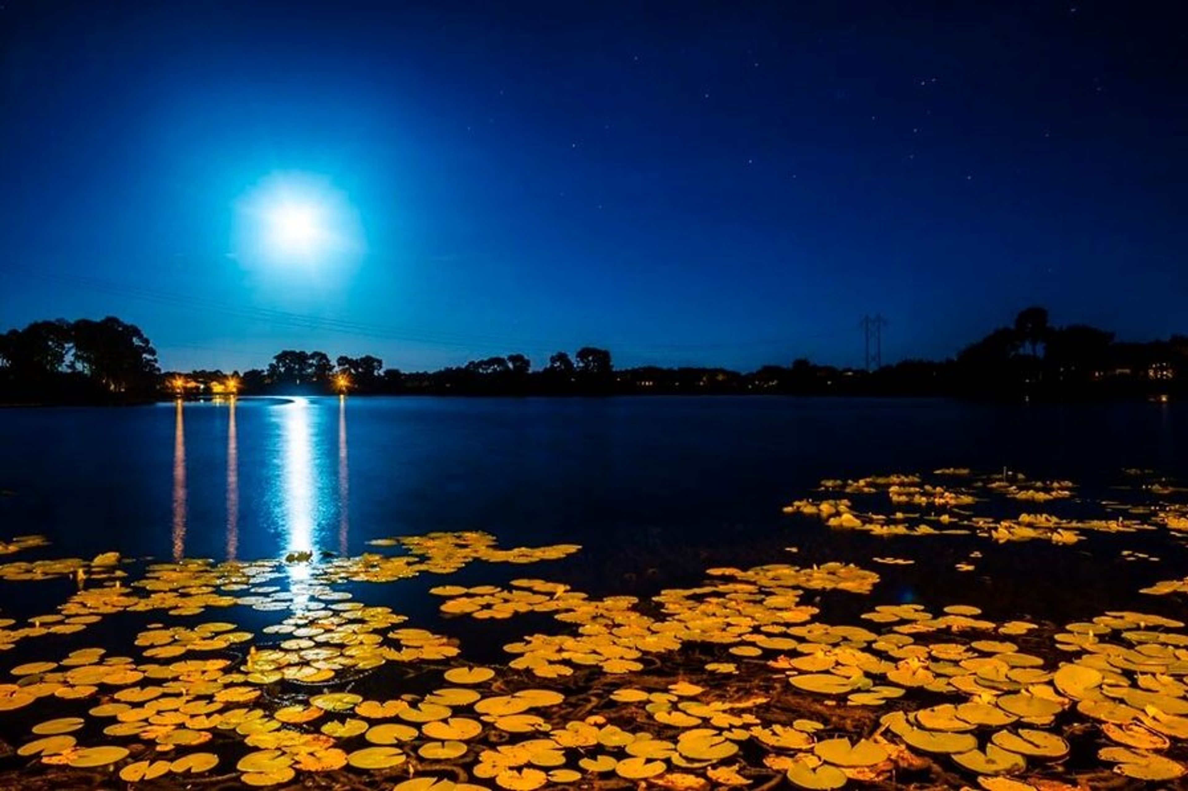 Moonlight dancing across Lake Thomas