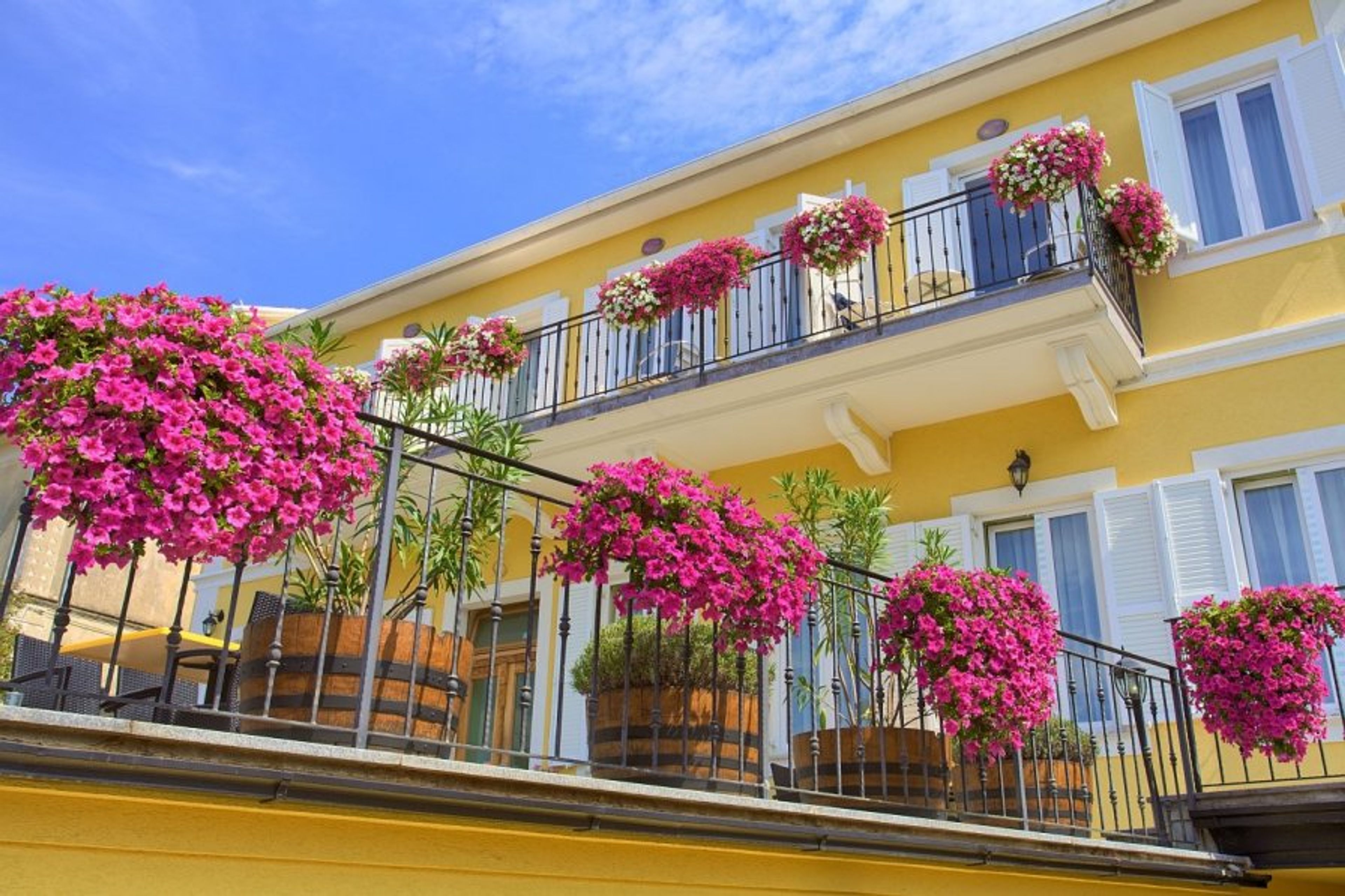 Look from the basement - winery
