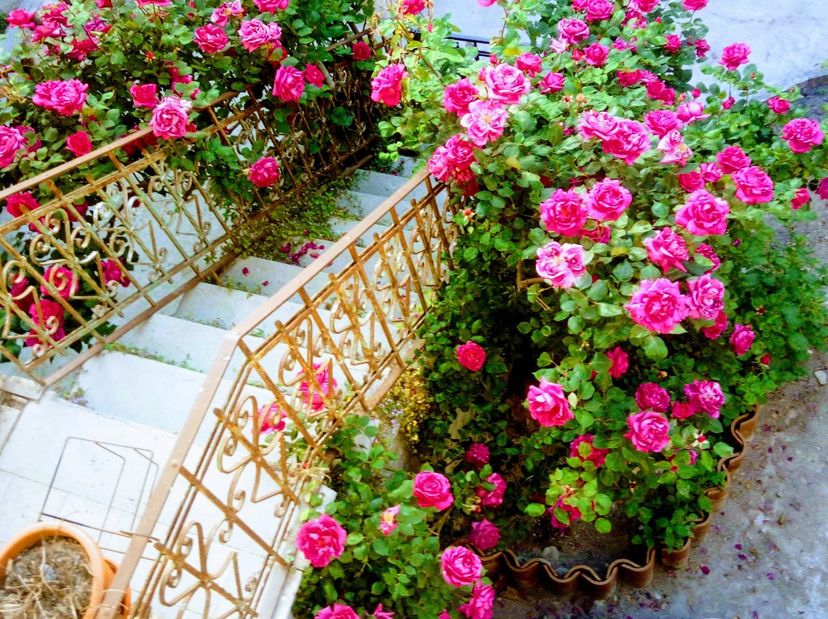 Apartment in Thiesi, Sardinia