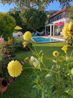 Calheta Area (Madeira) holiday home rental with private pool