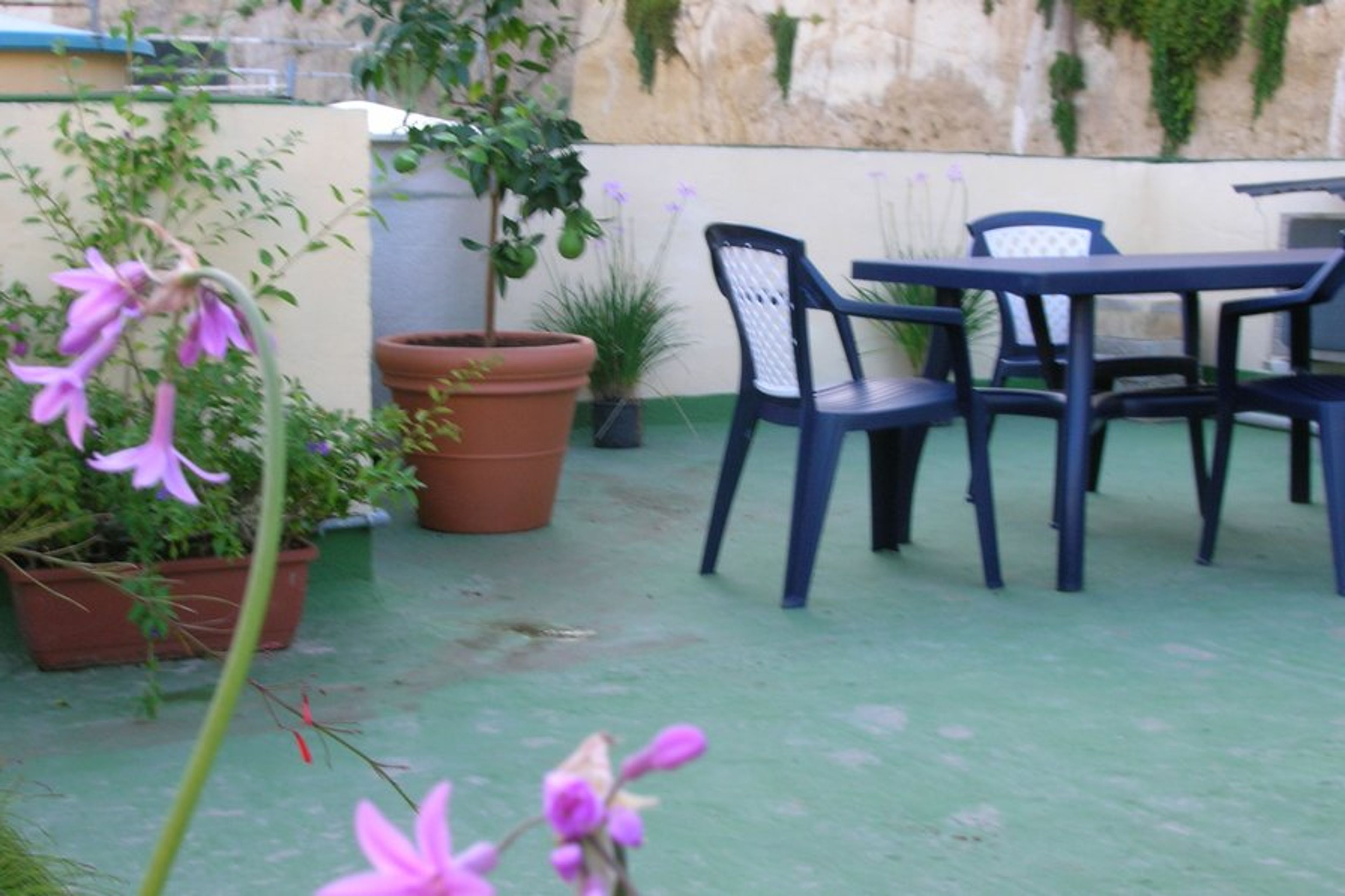 Roof terrace with dining table, chairs and sunloungers
