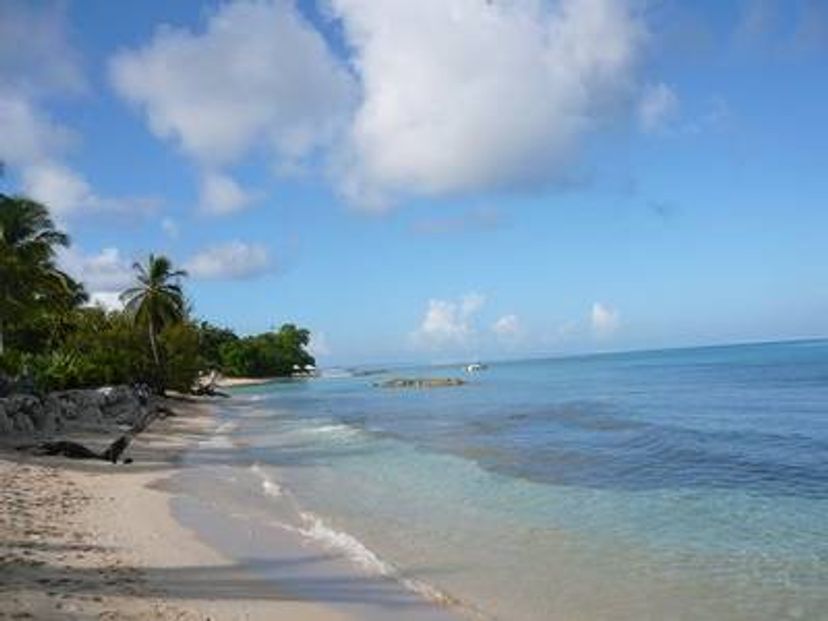 Apartment in Speightstown, Barbados: Fabulous Heywoods Beach 250M Away!!!!