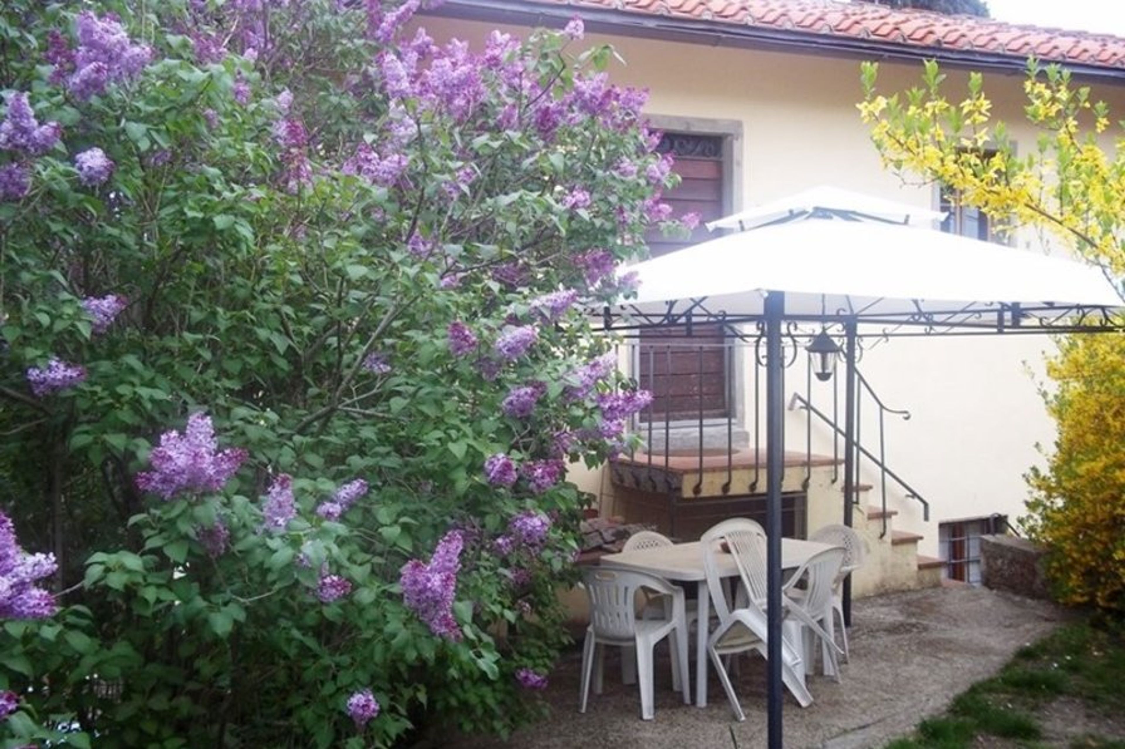 The lilac and the gazebo

