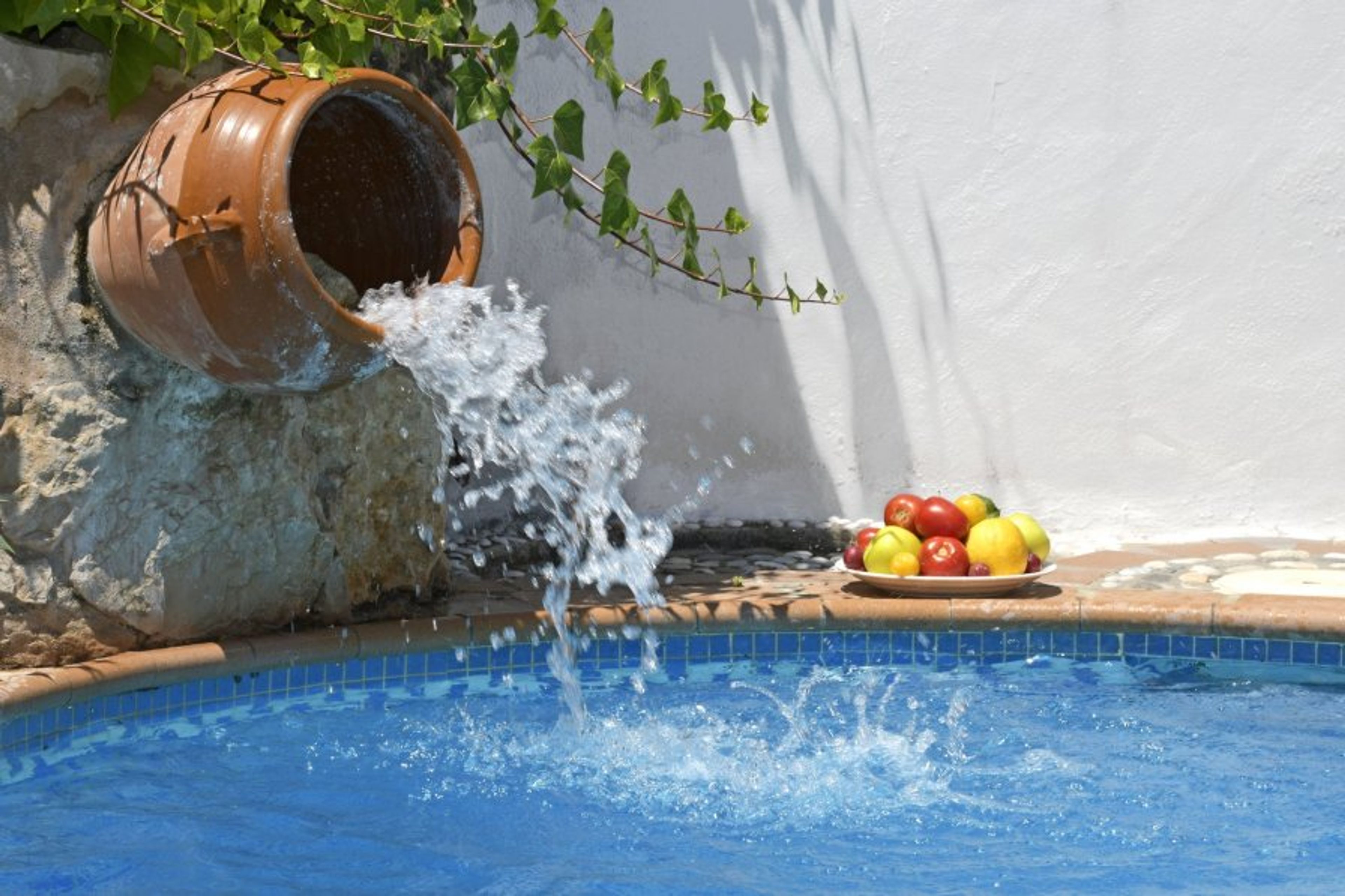 There's a small waterfall to filter the swimming pool.