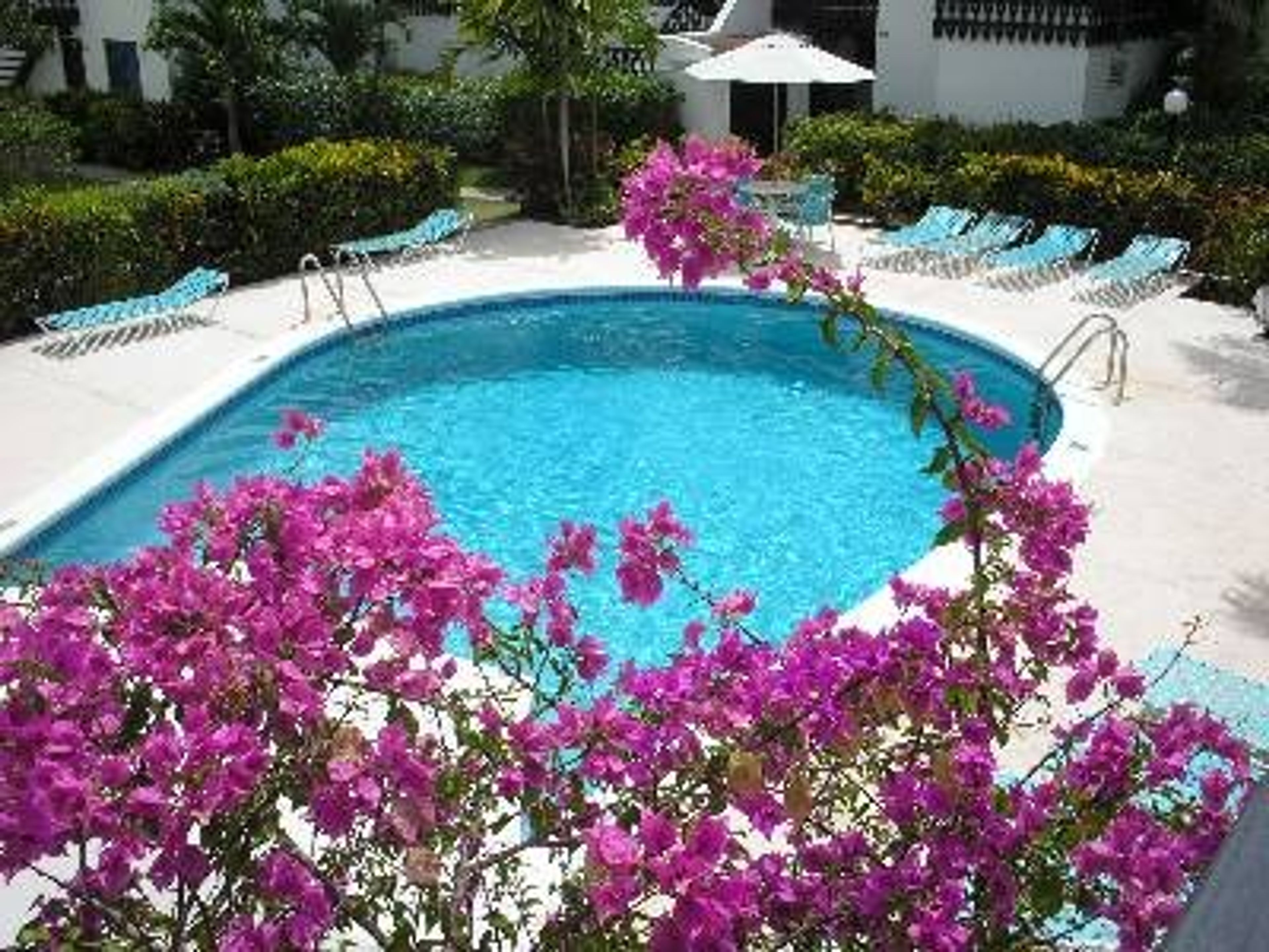 Pool at Lemon Arbour