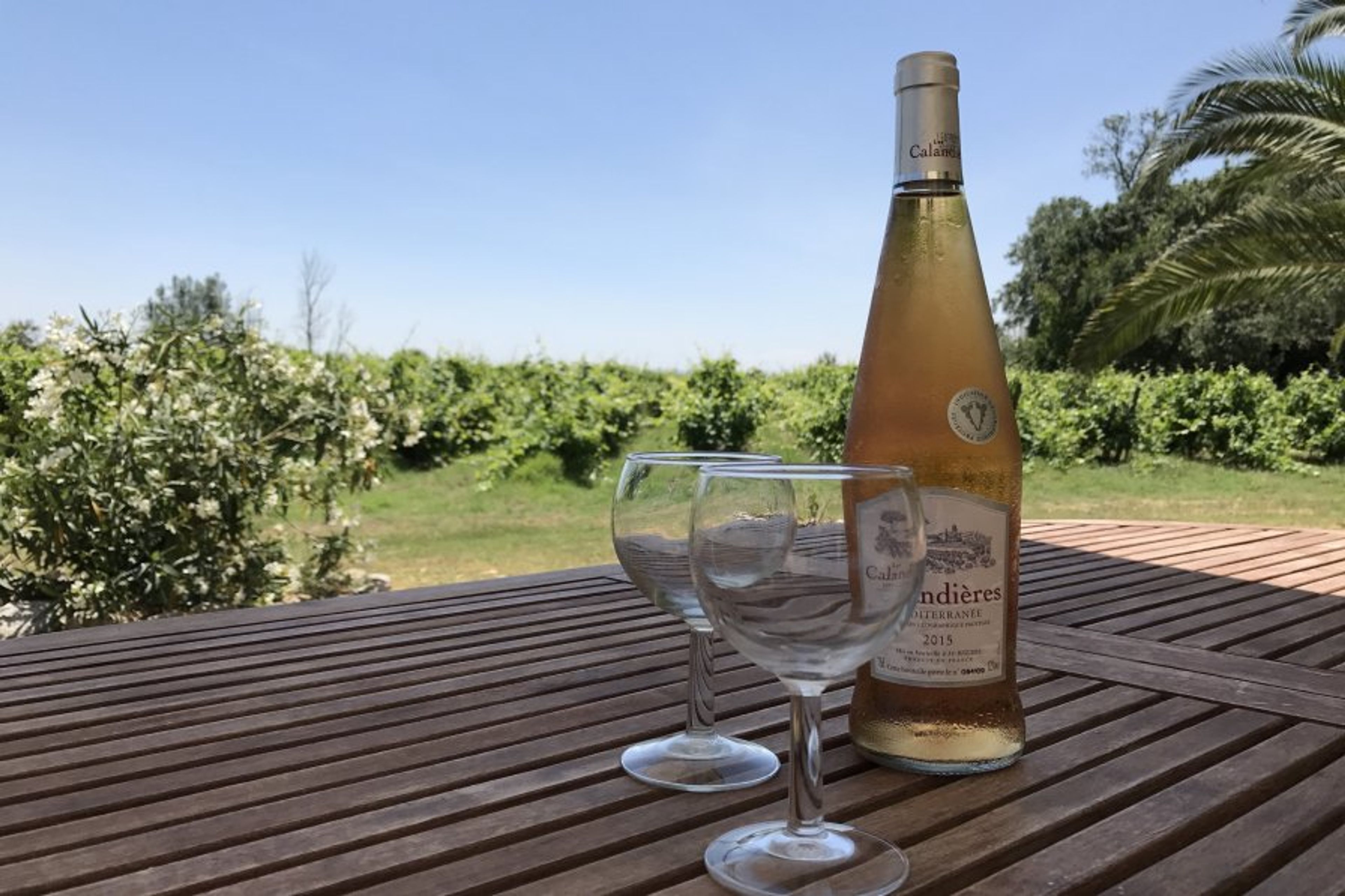 Relax on the terrace with local wine