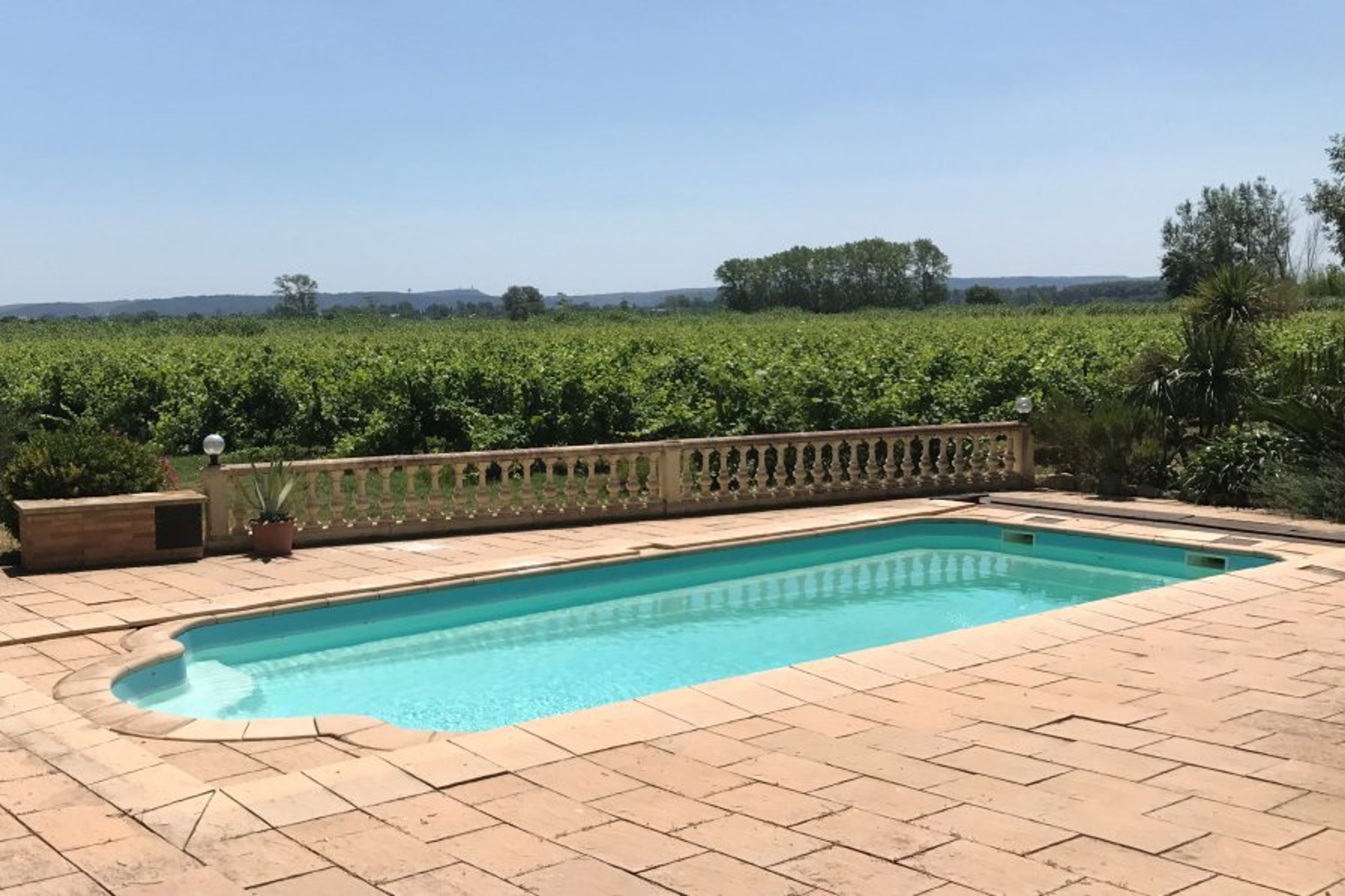 Swimming pool, looking towards the vineyards
