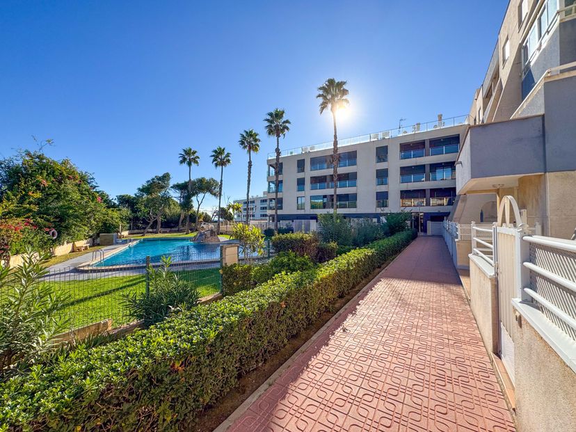 Apartment in La Mata, Spain