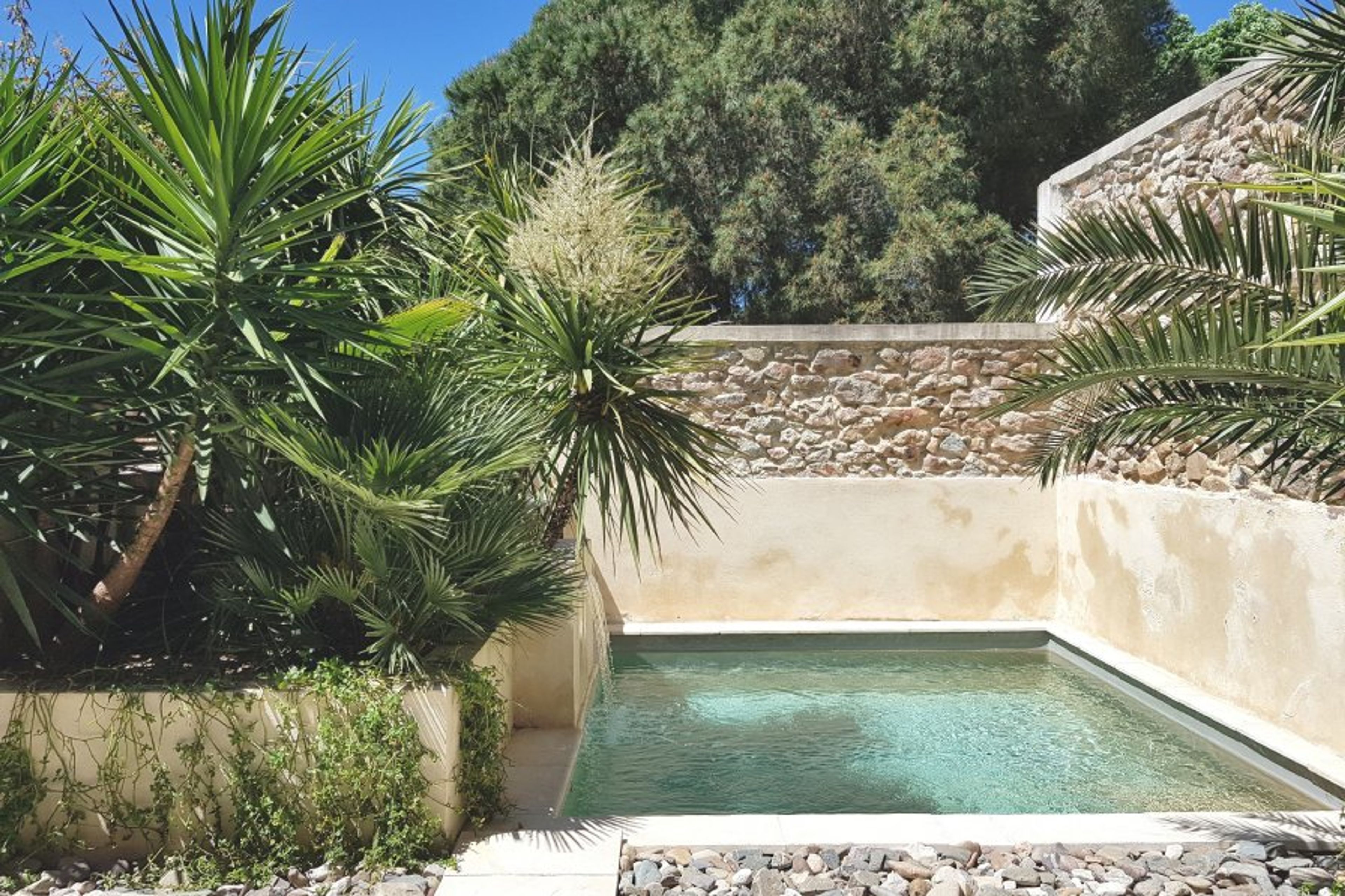 the pool in the patio