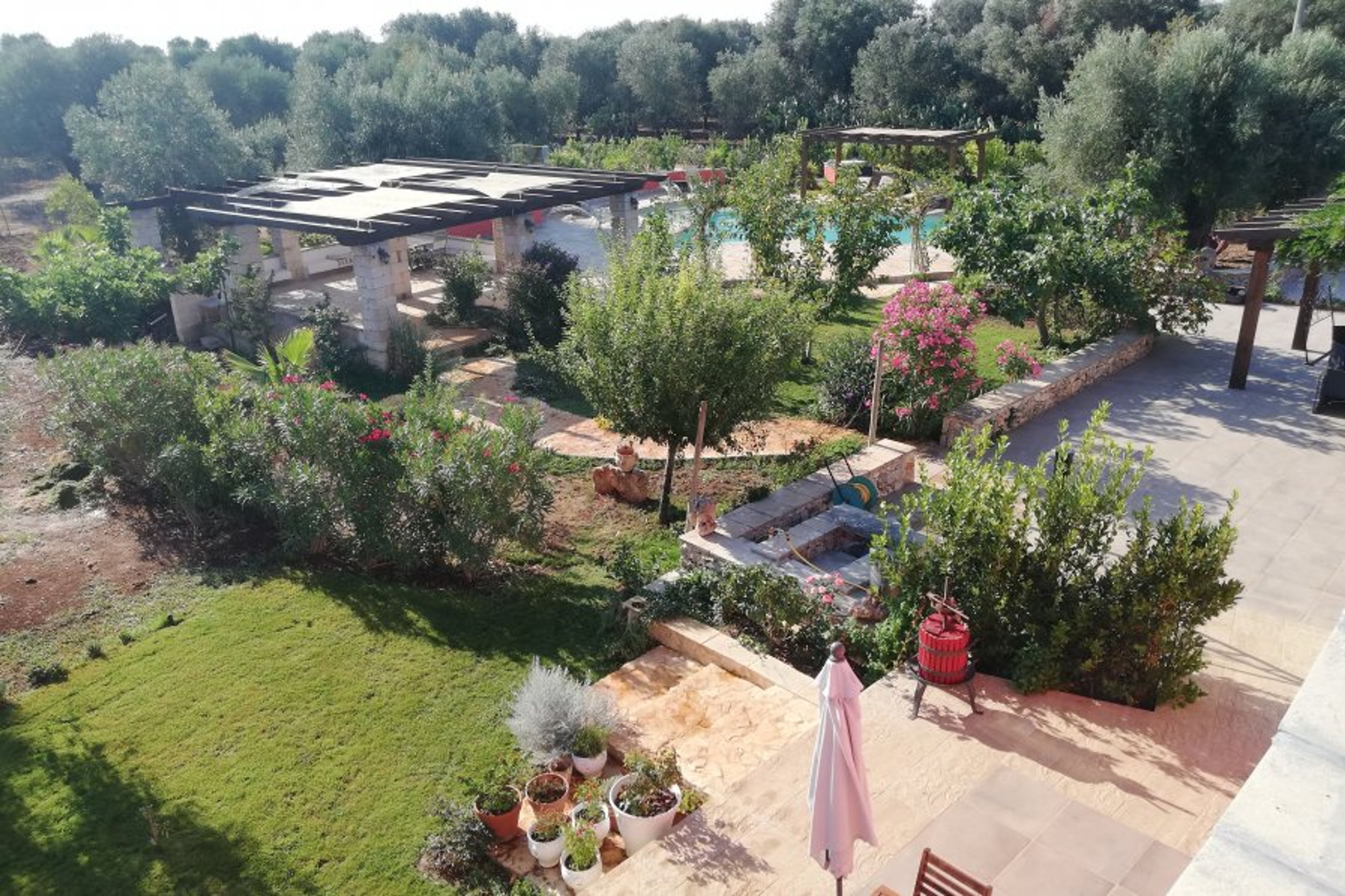 panaramic view of pool and gardens