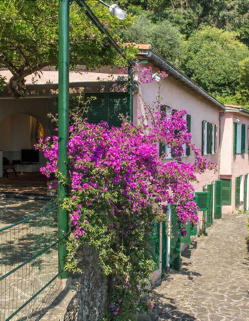 Villa in Italy, Portofino