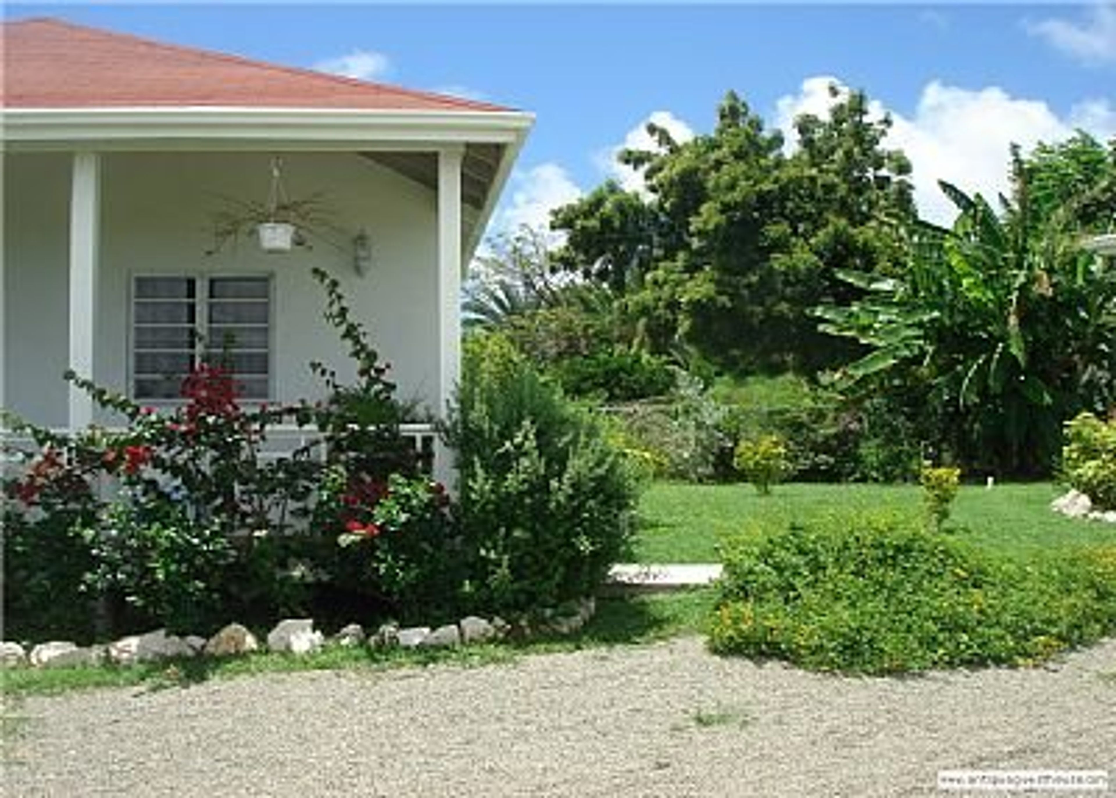 garden and side of house