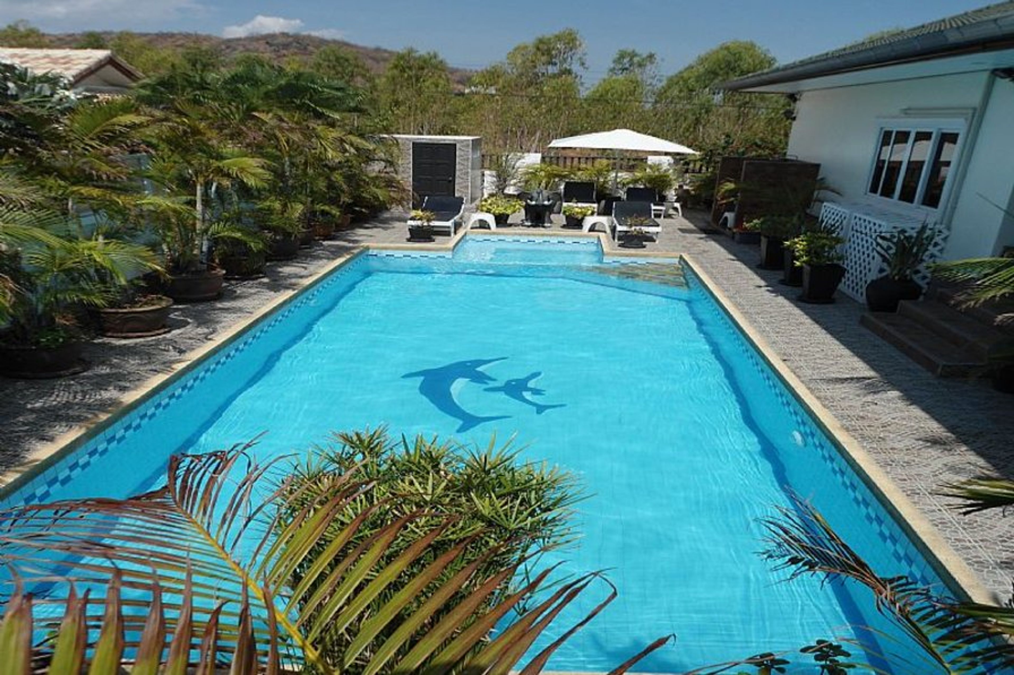 Private Salt Water Pool And Spa