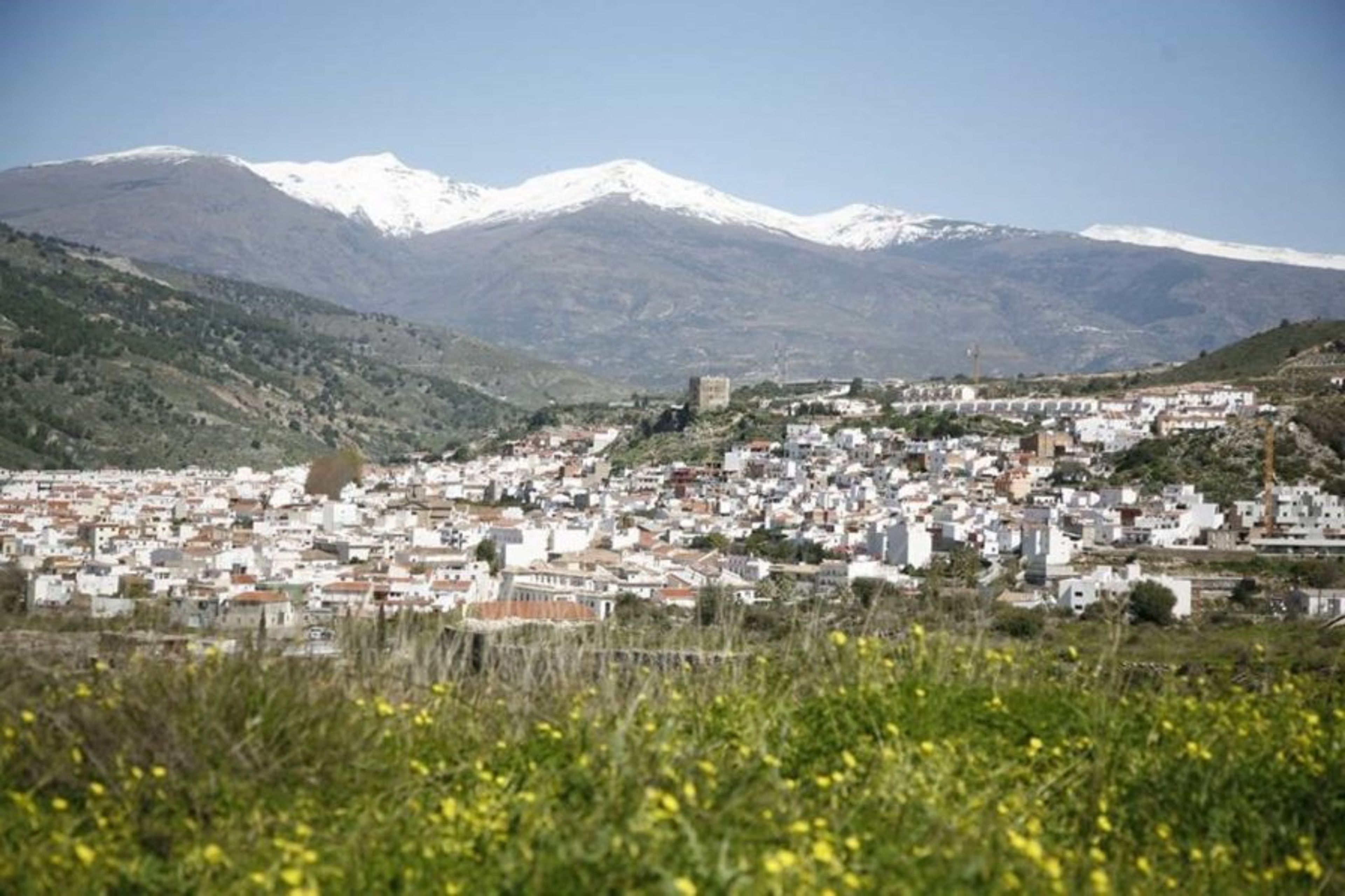 Velez de Benaudalla in spring time