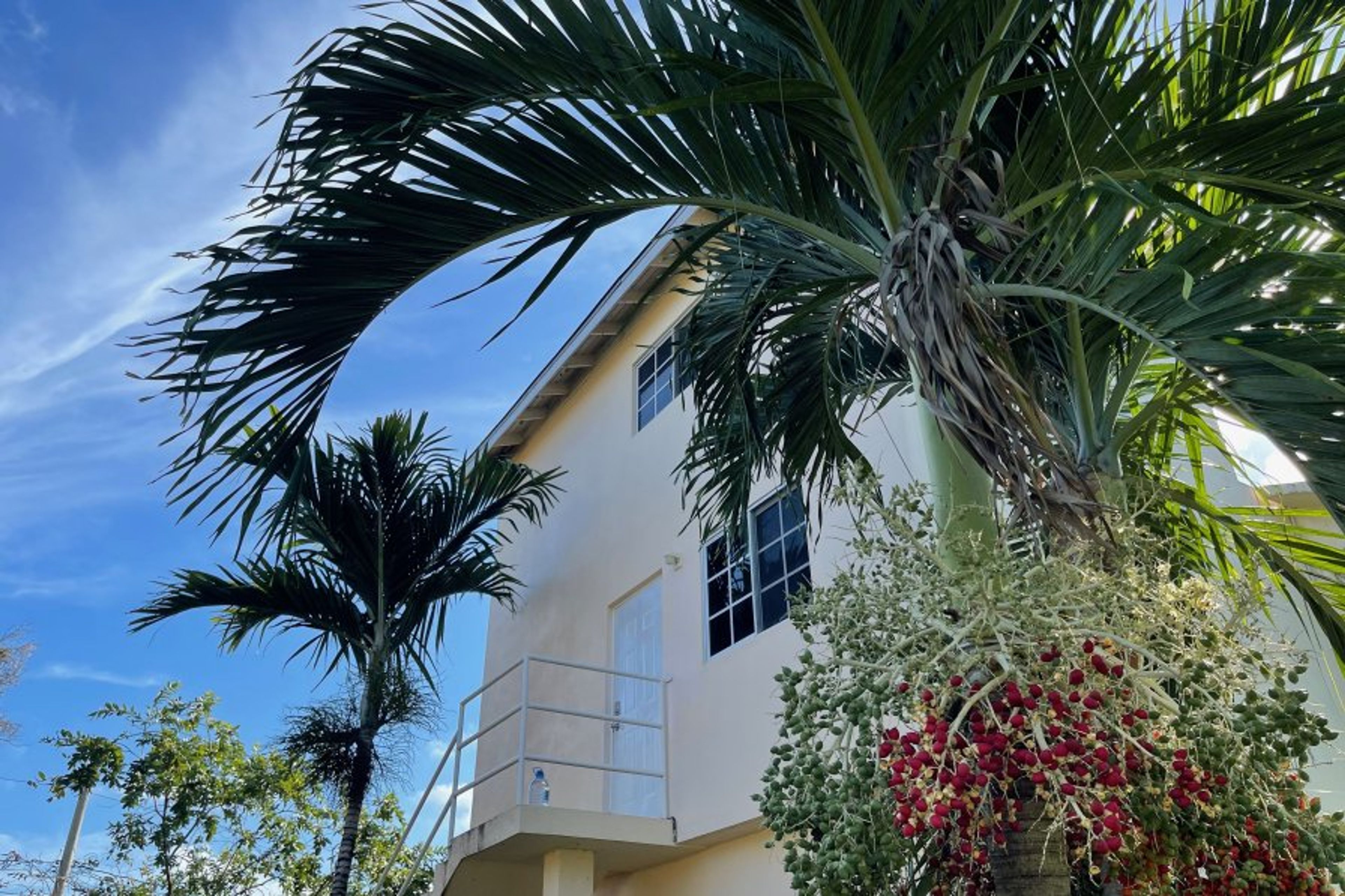 Loft style apartment in Runaway Jamaica