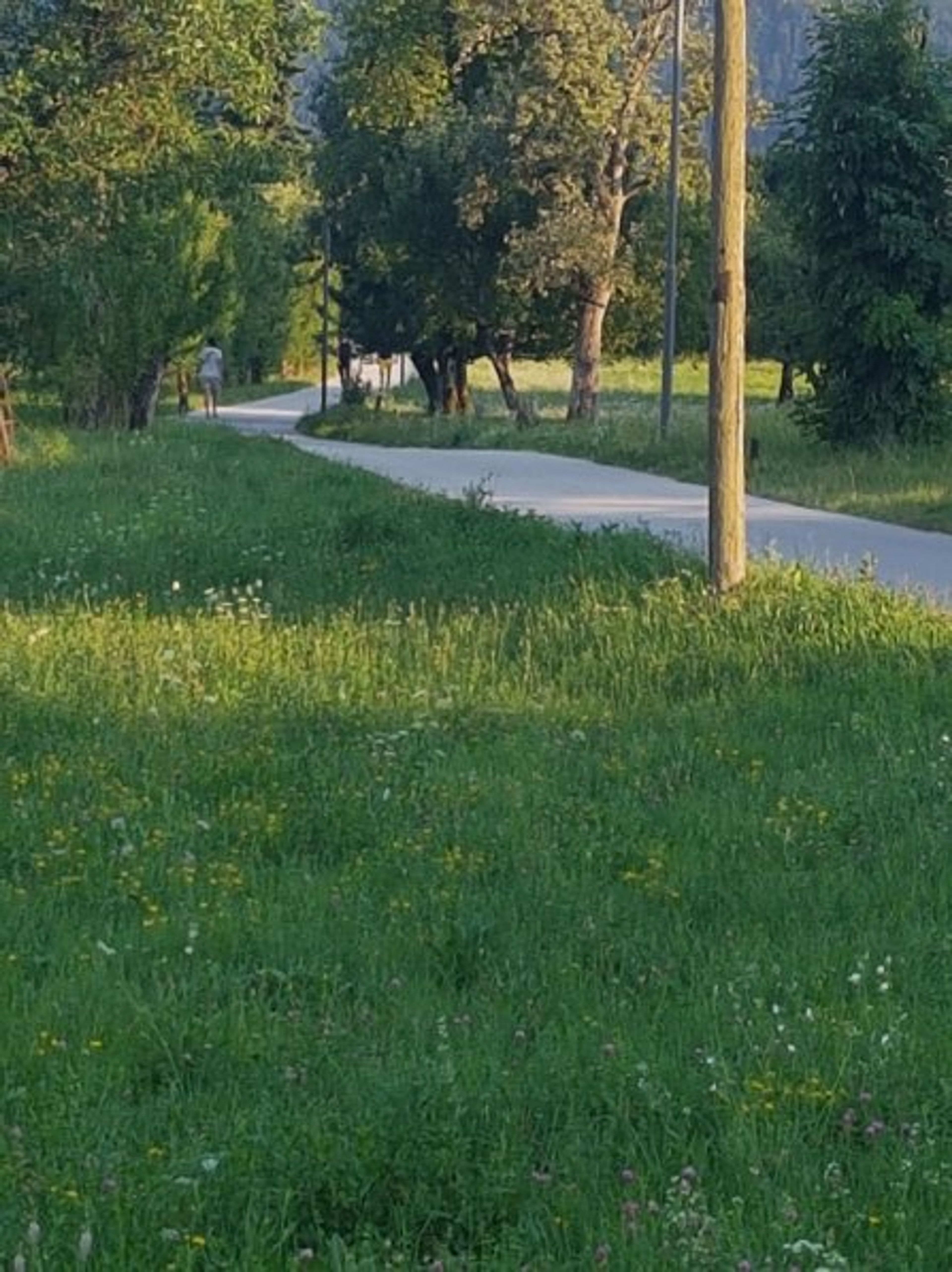 Way to our apartments or to go to the center of Bled. :-)