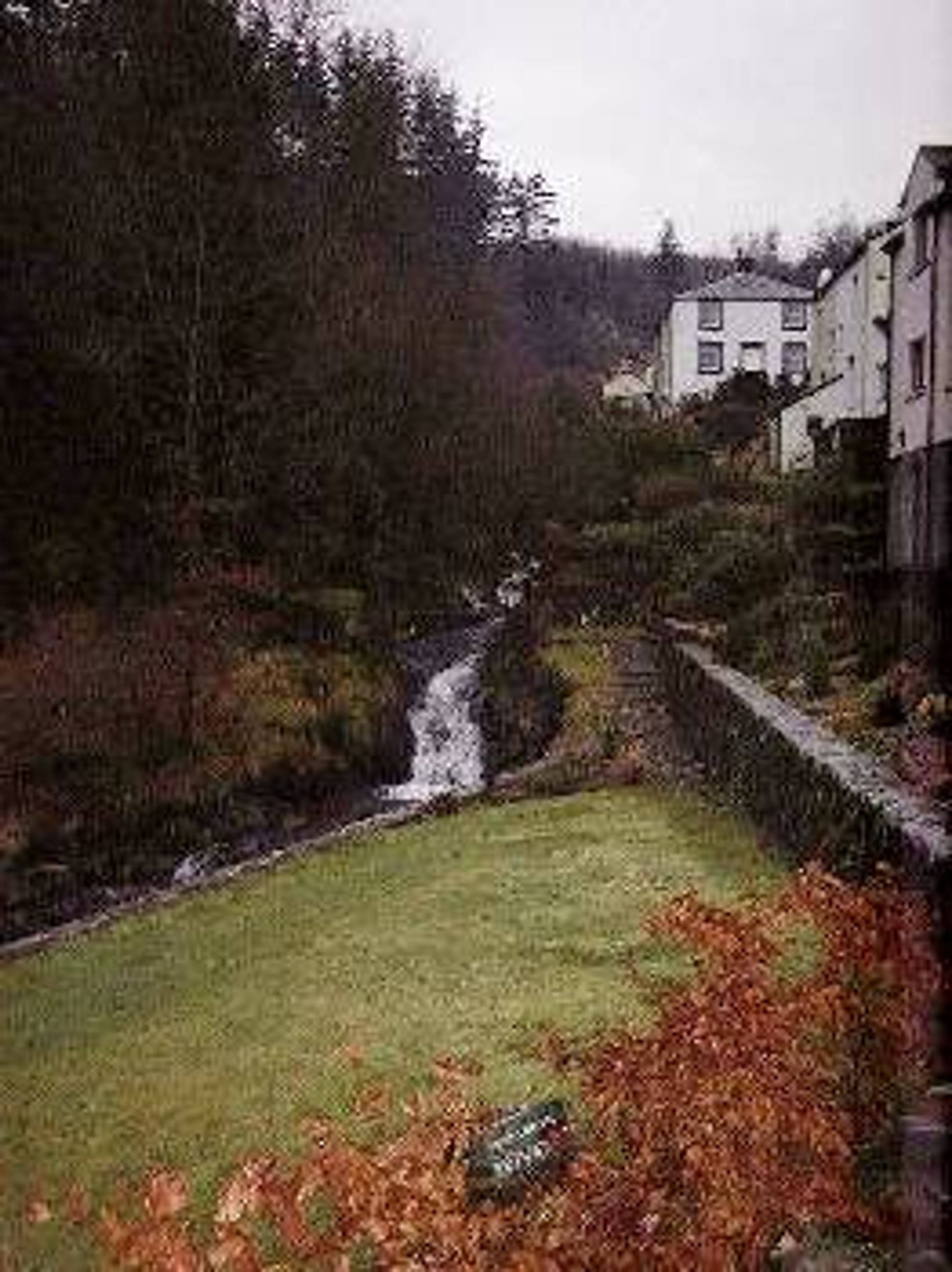 Revine to the left of property