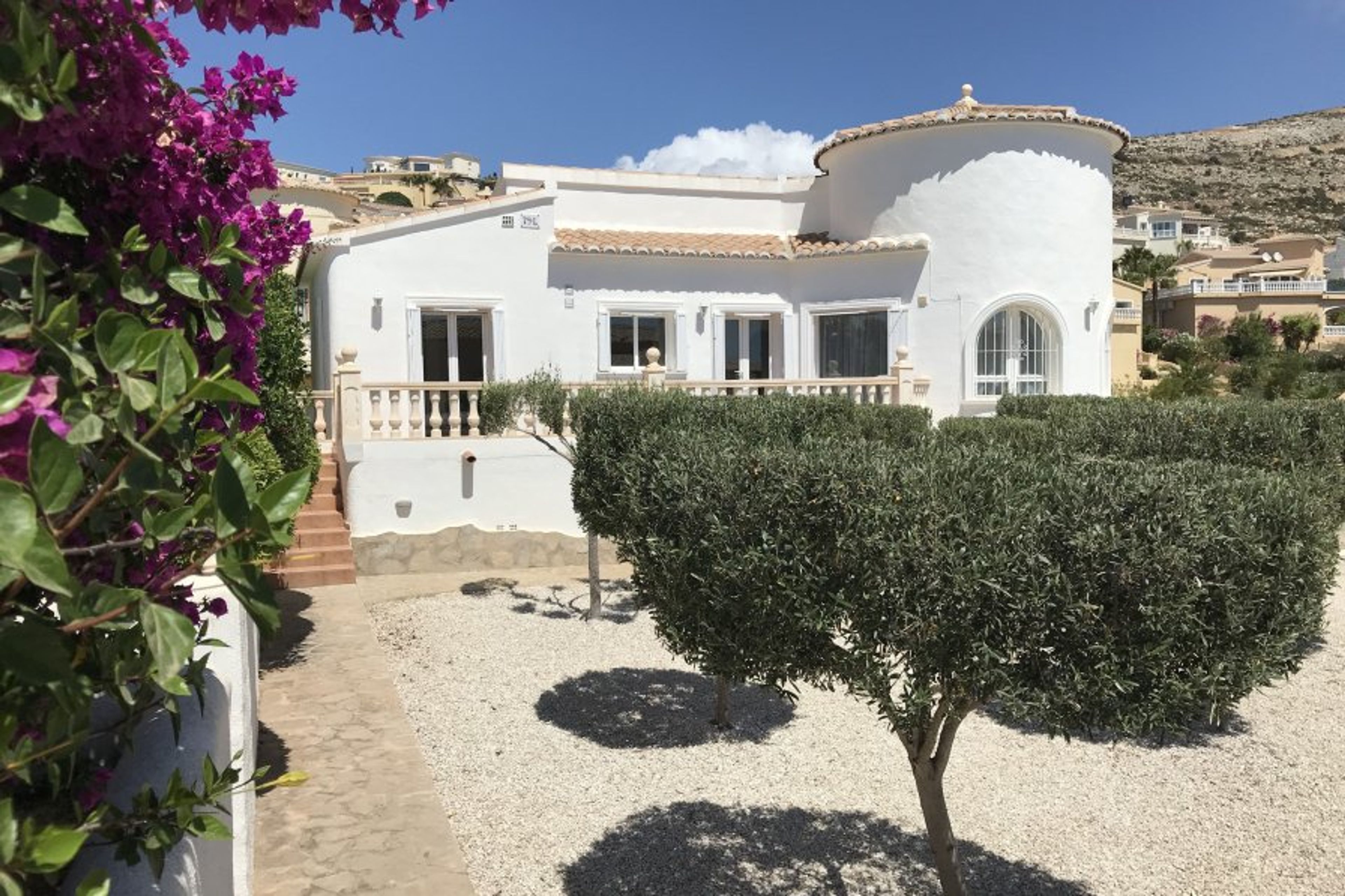 Olive trees and bougainvillea at the front of the villa