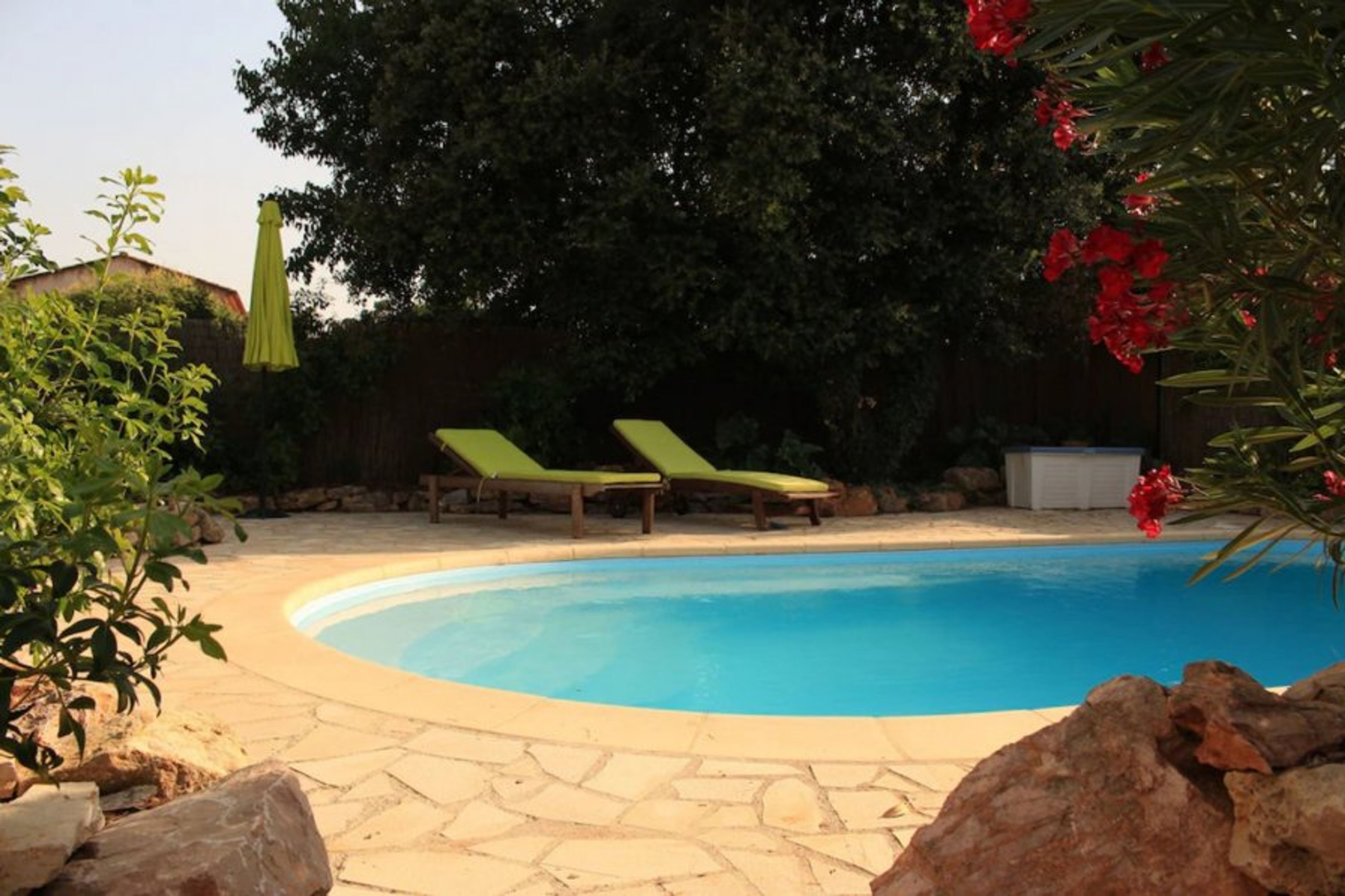 Natural shade around the pool