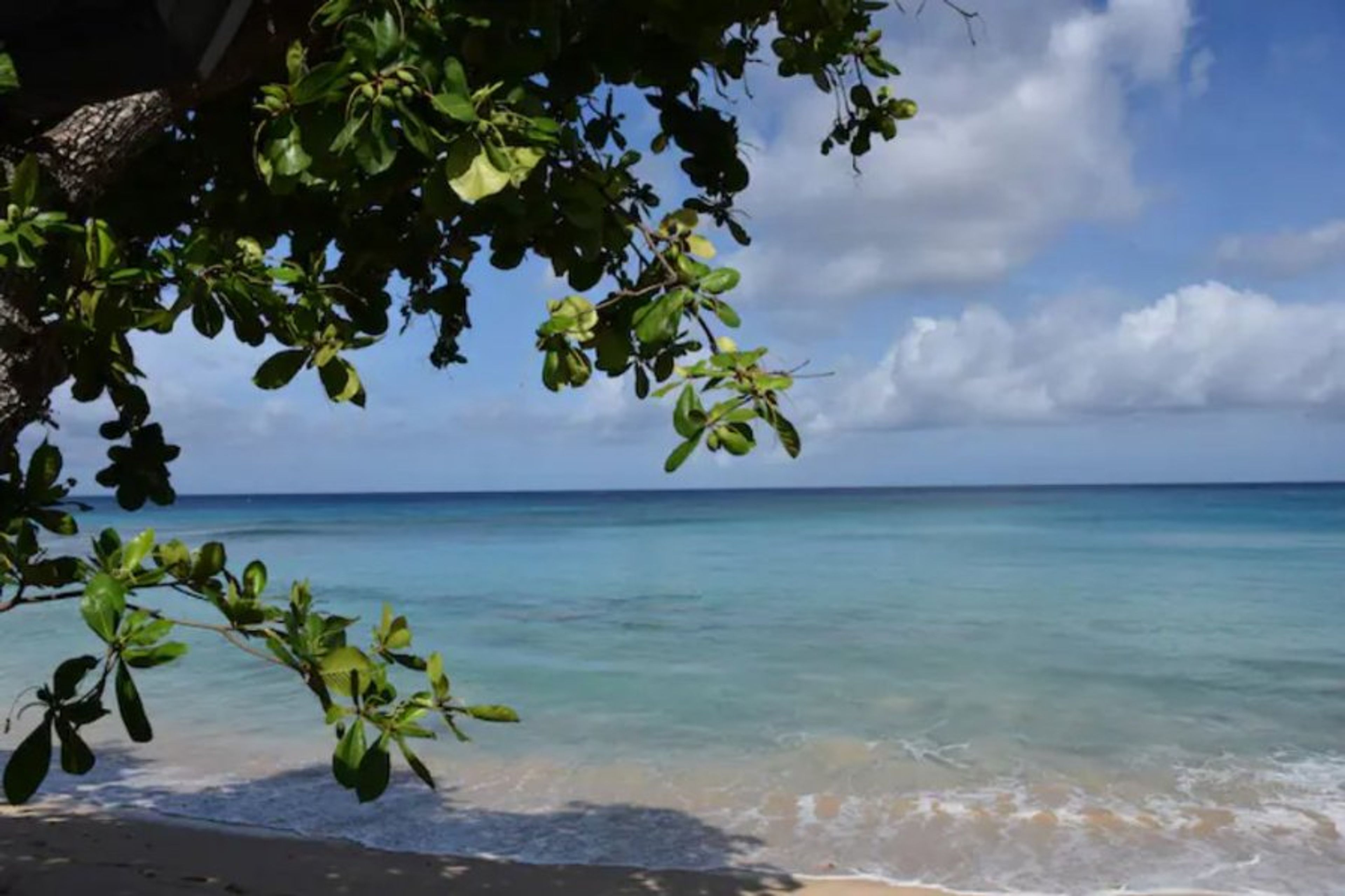 8 minutes walk to Gibbes beach.