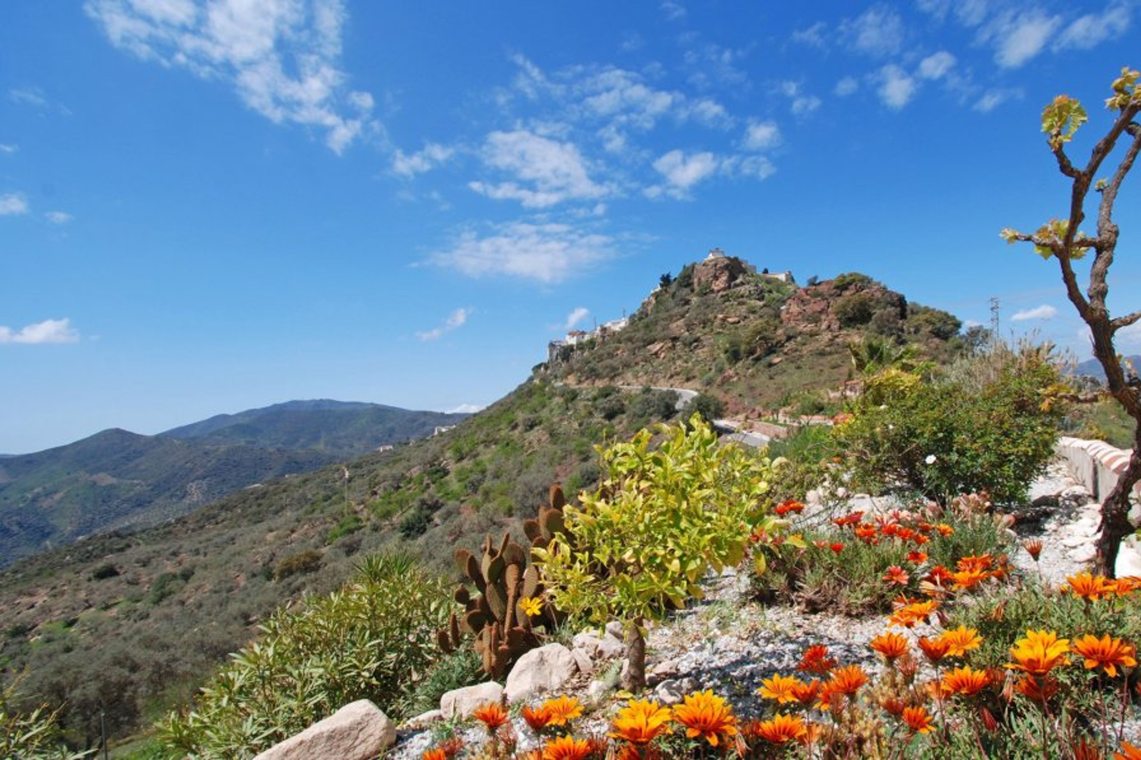 A beautiful walk can take you to the whitewashed village of Comares.