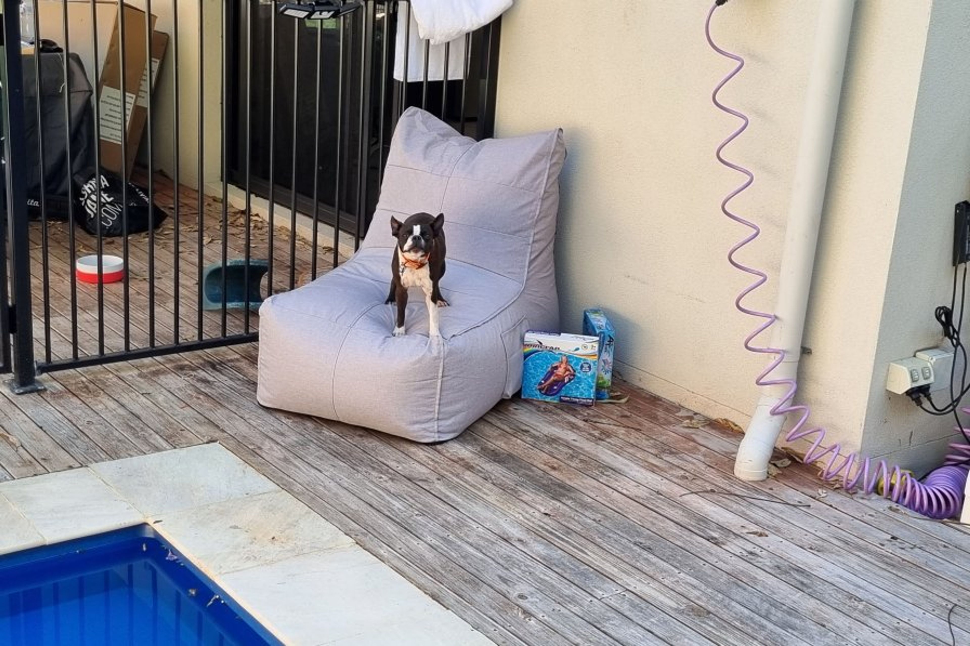 Relax on the sun lounges by the pool