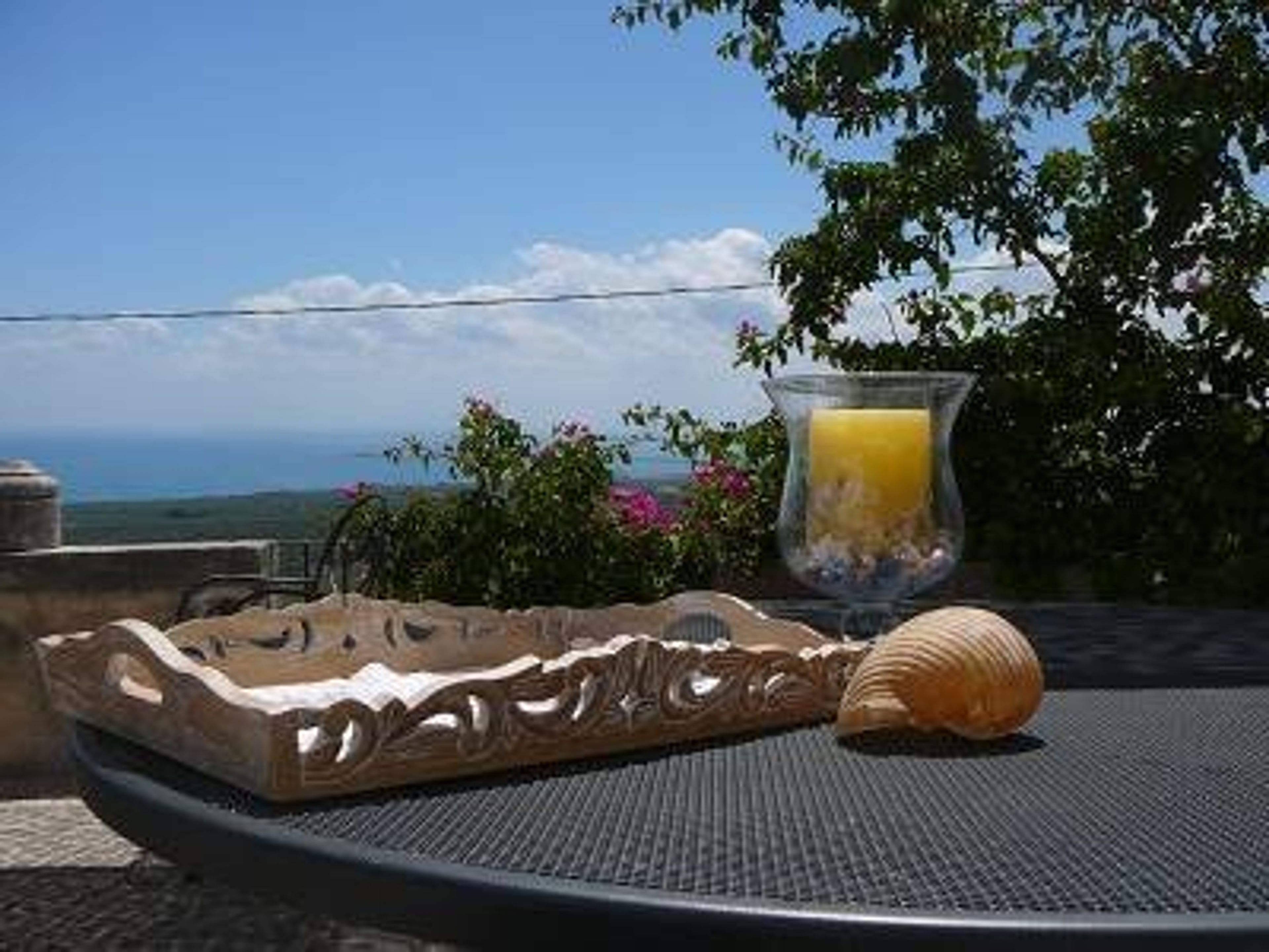 relaxing afternoon on the terrace