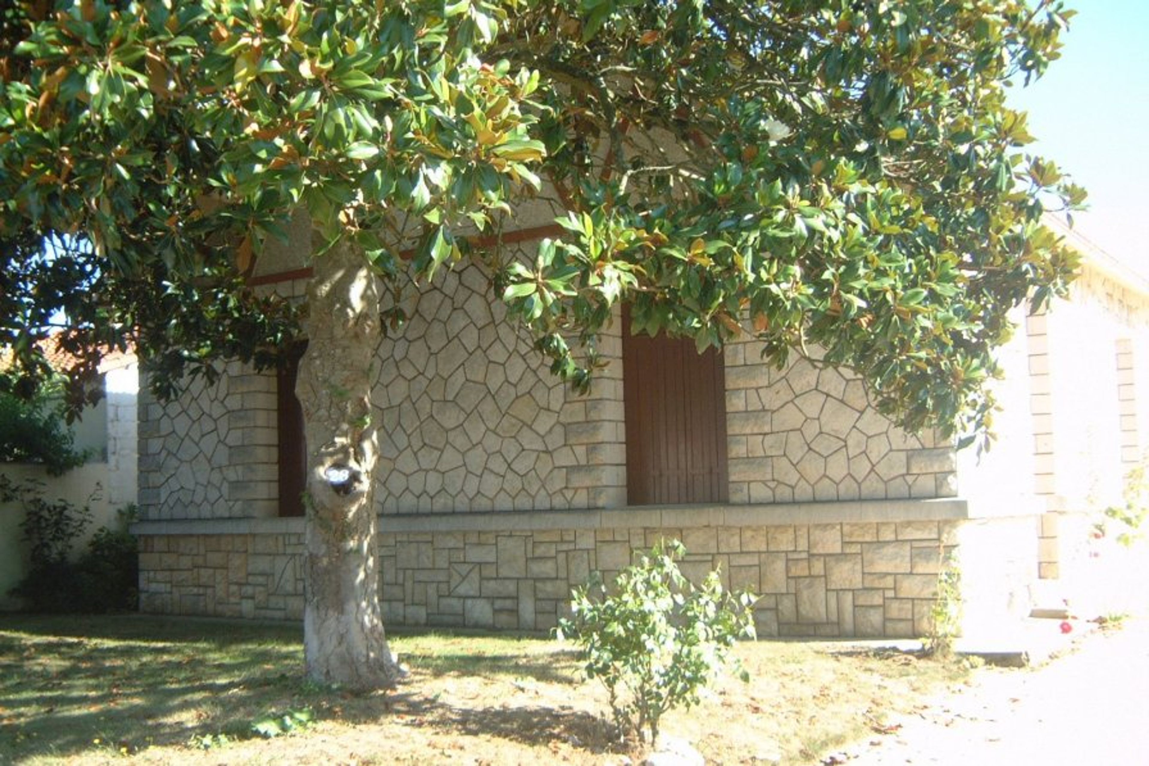 Front garden