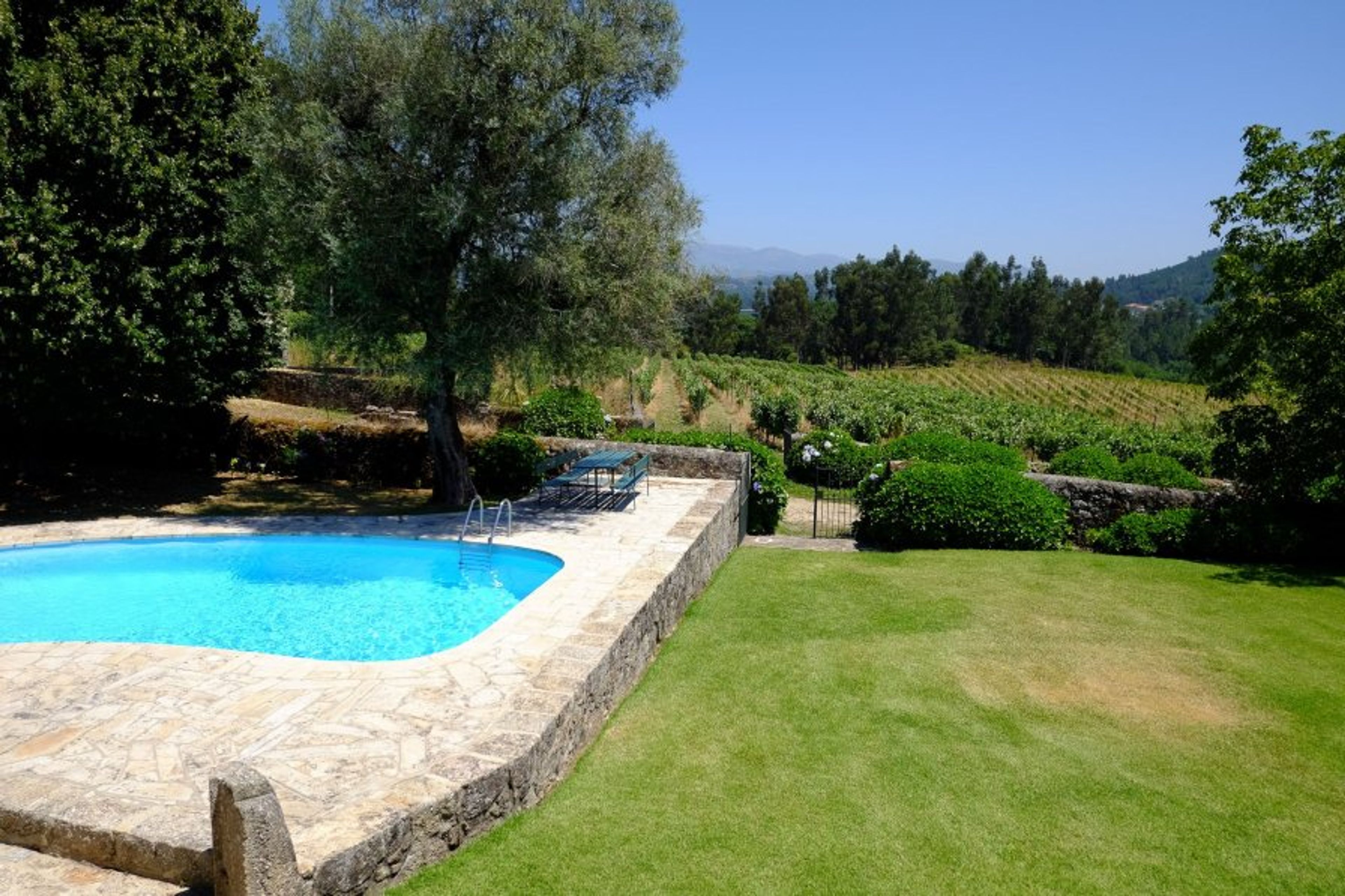View from the house to the north, overlooking the vineyards 
