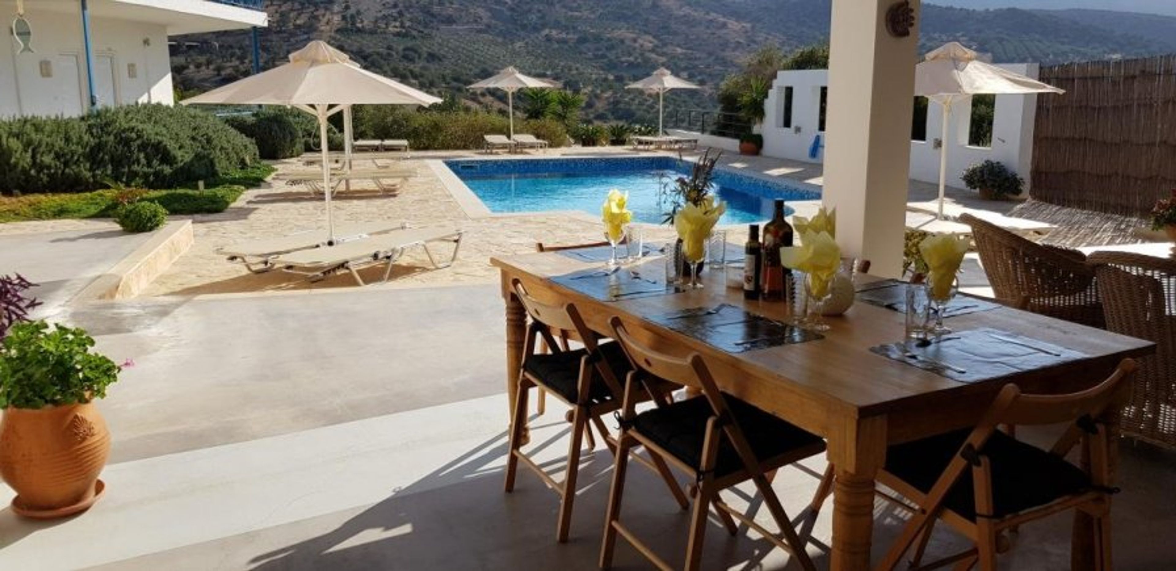 Mesa Riza: Shared swimming pool and poolhouse...