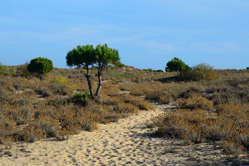 Villa in Azinheiro, Algarve