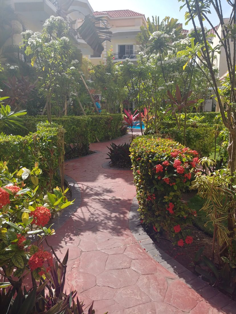 Apartment in Dominican Republic, Punta Cana: Garden walkway to Condo Entrance