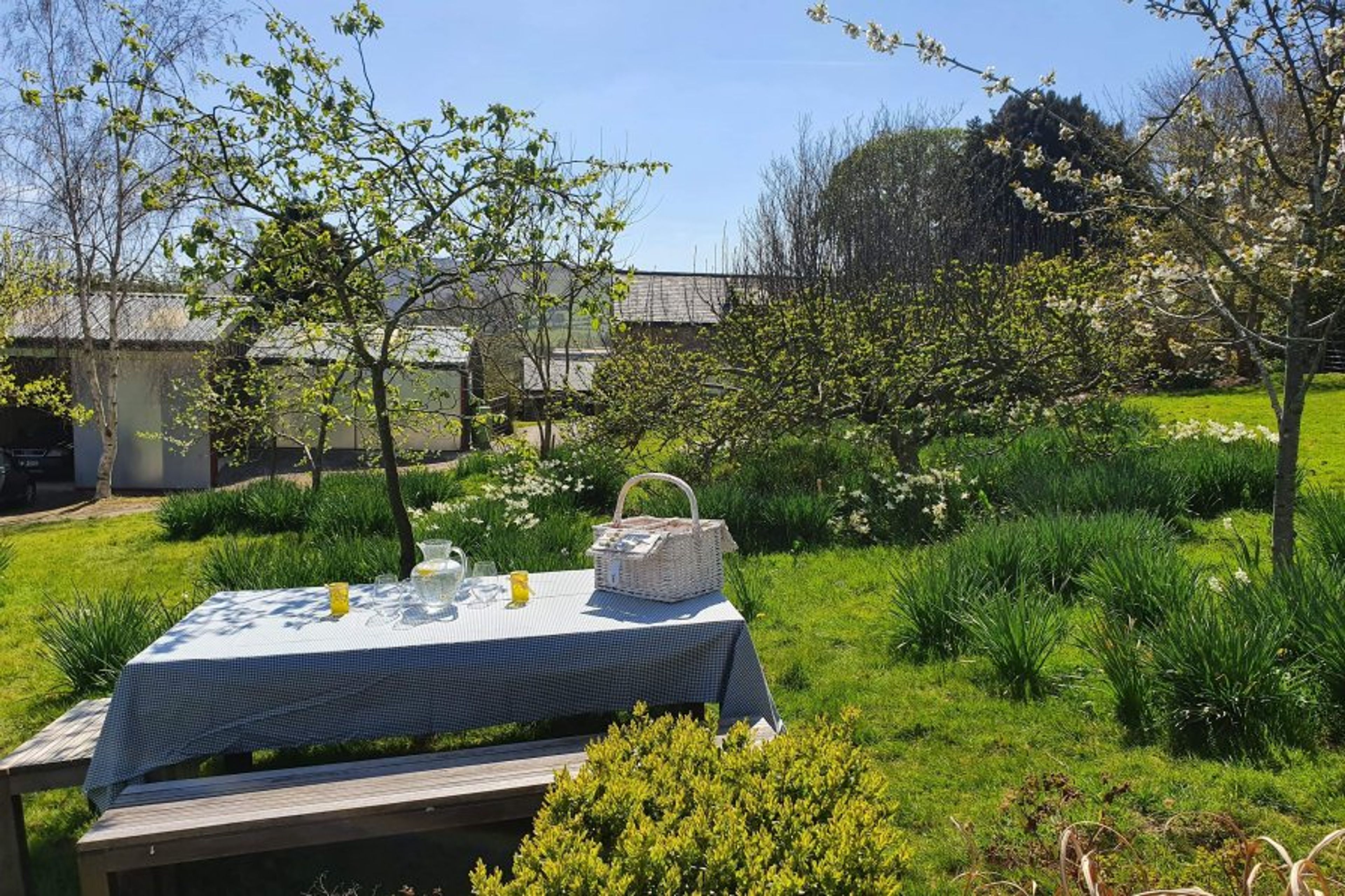 Picnic under the apple trees
