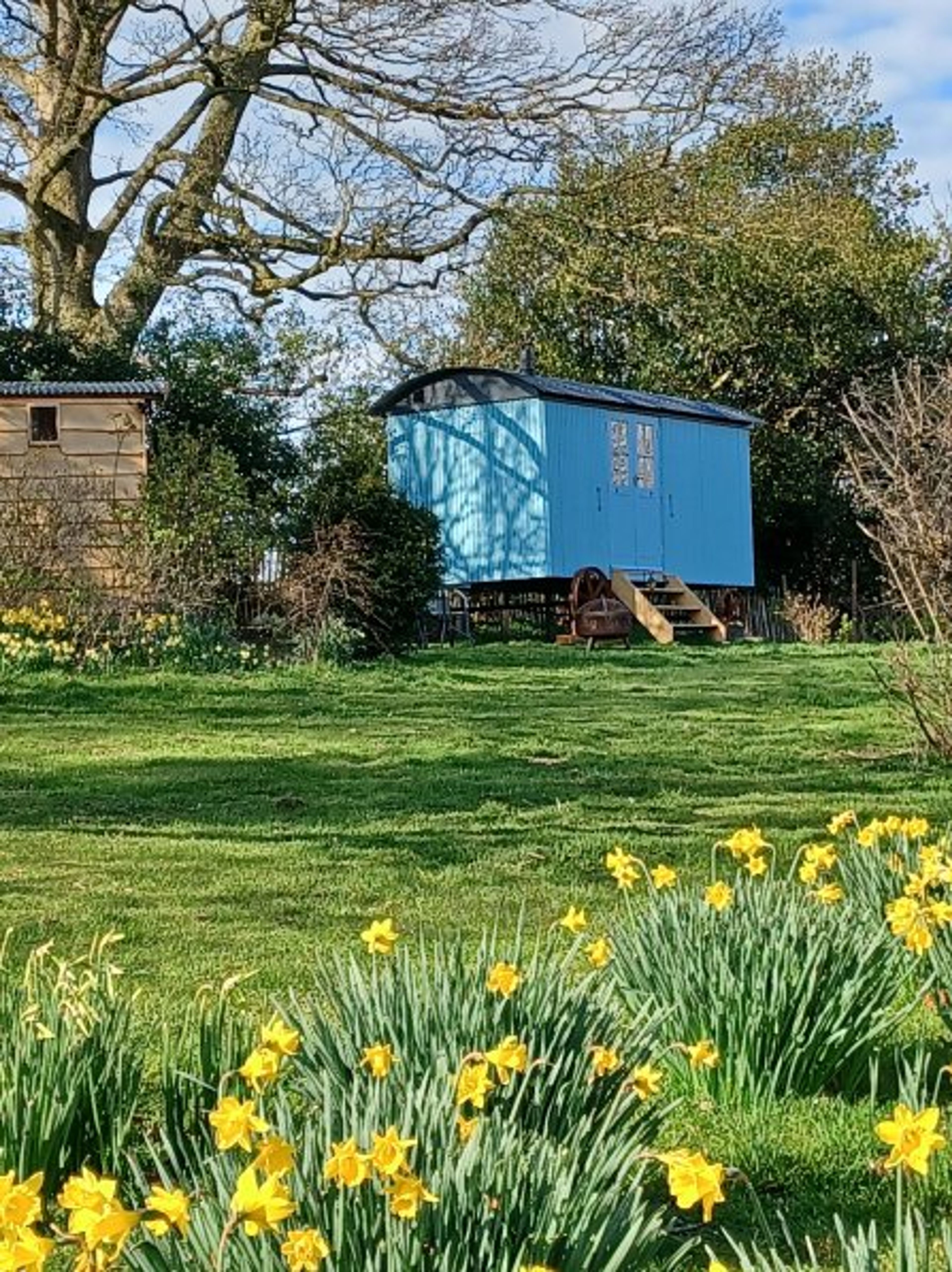 Emily Rose in the Spring