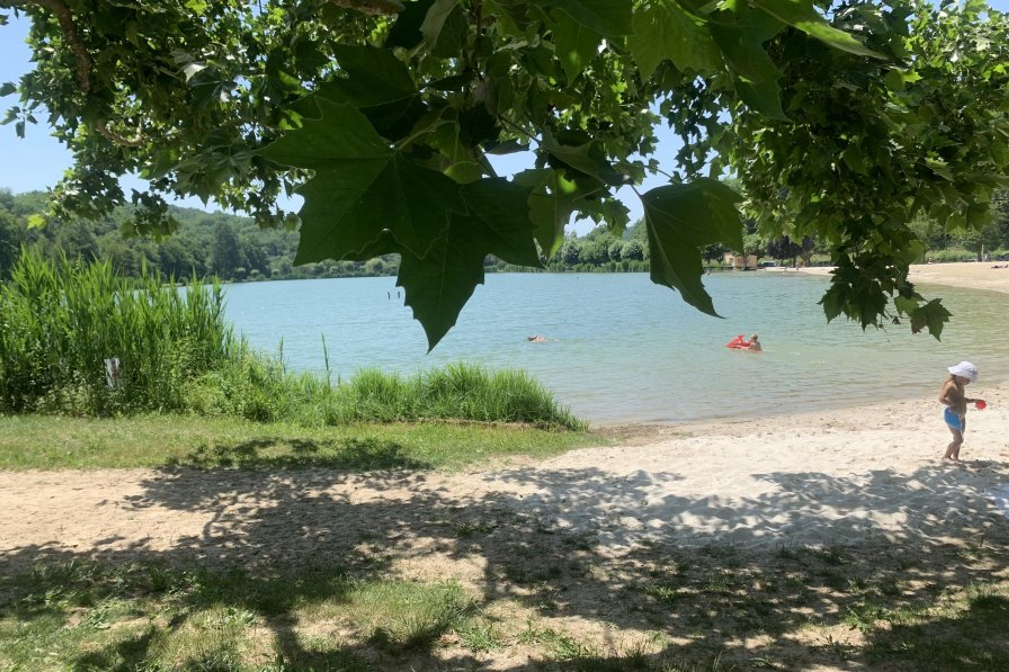 The nearby lake where you can chill, swim serious lengths or play.