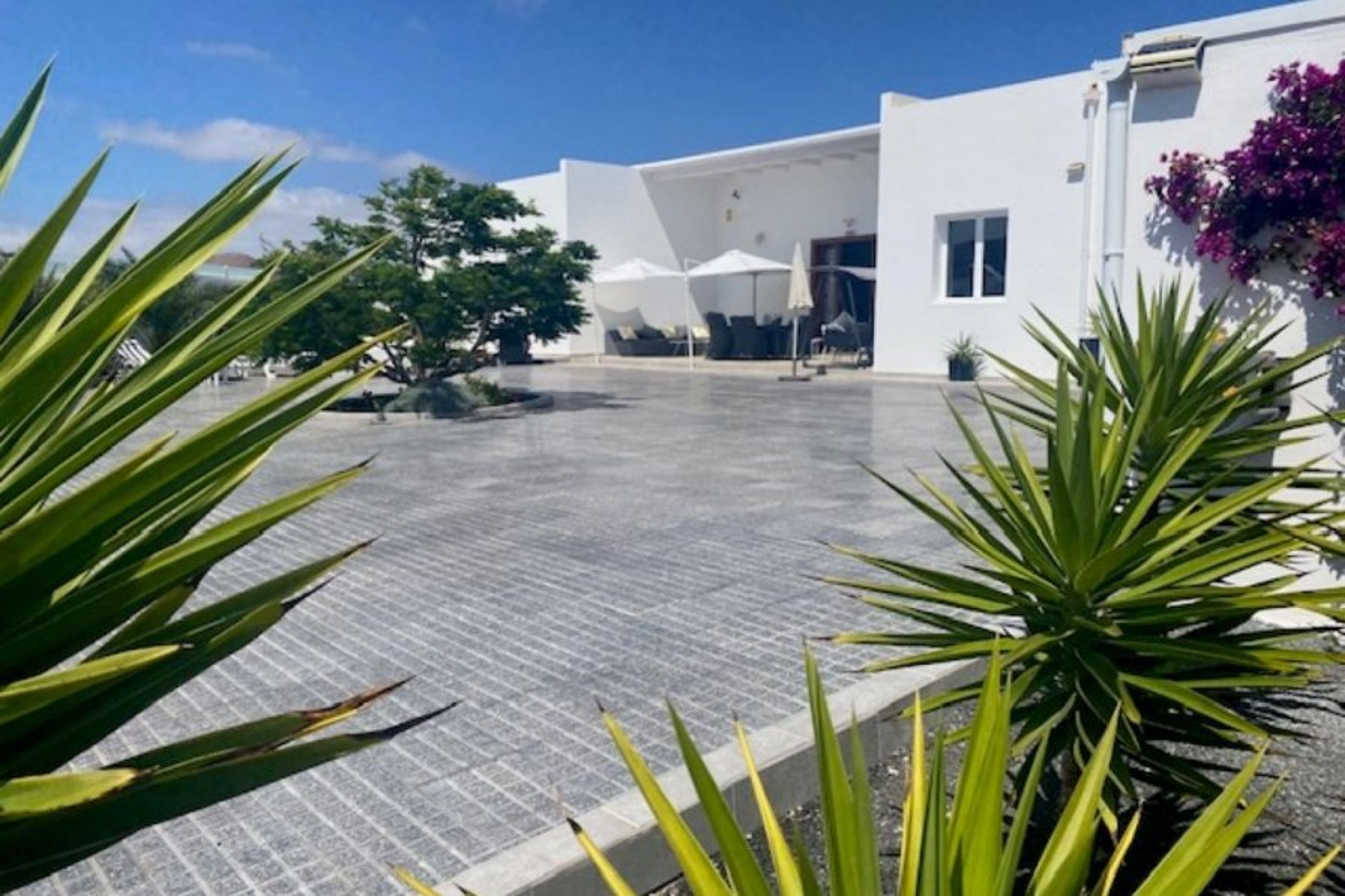 lovely gardens on a large plot 