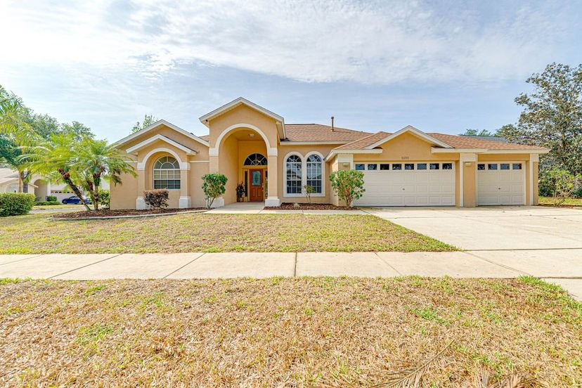 House in USA, Orange Tree