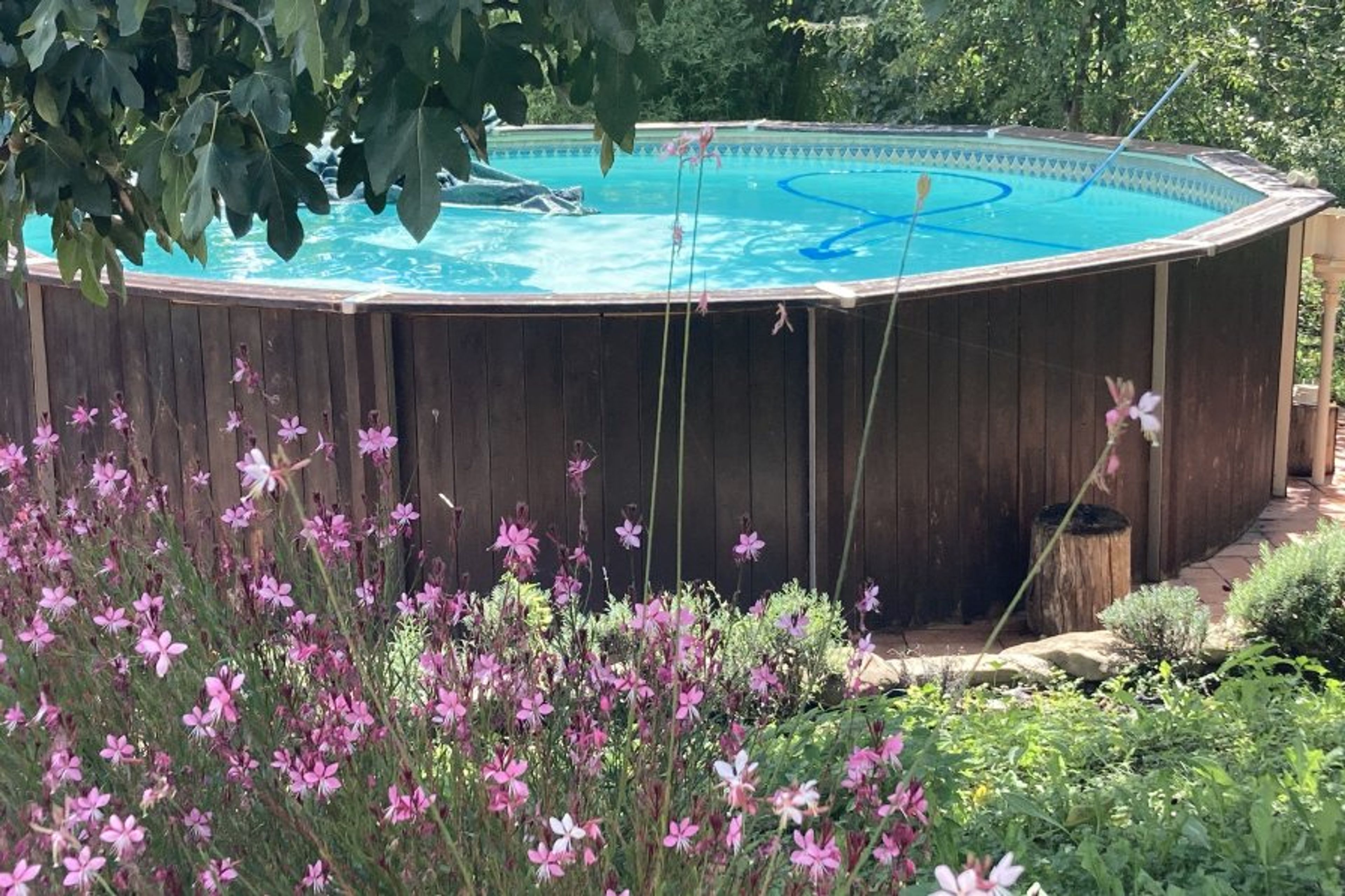 Cool in the Pool