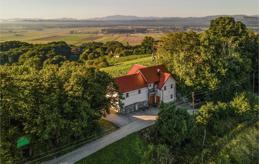 Villa in Sodinci, Slovenia