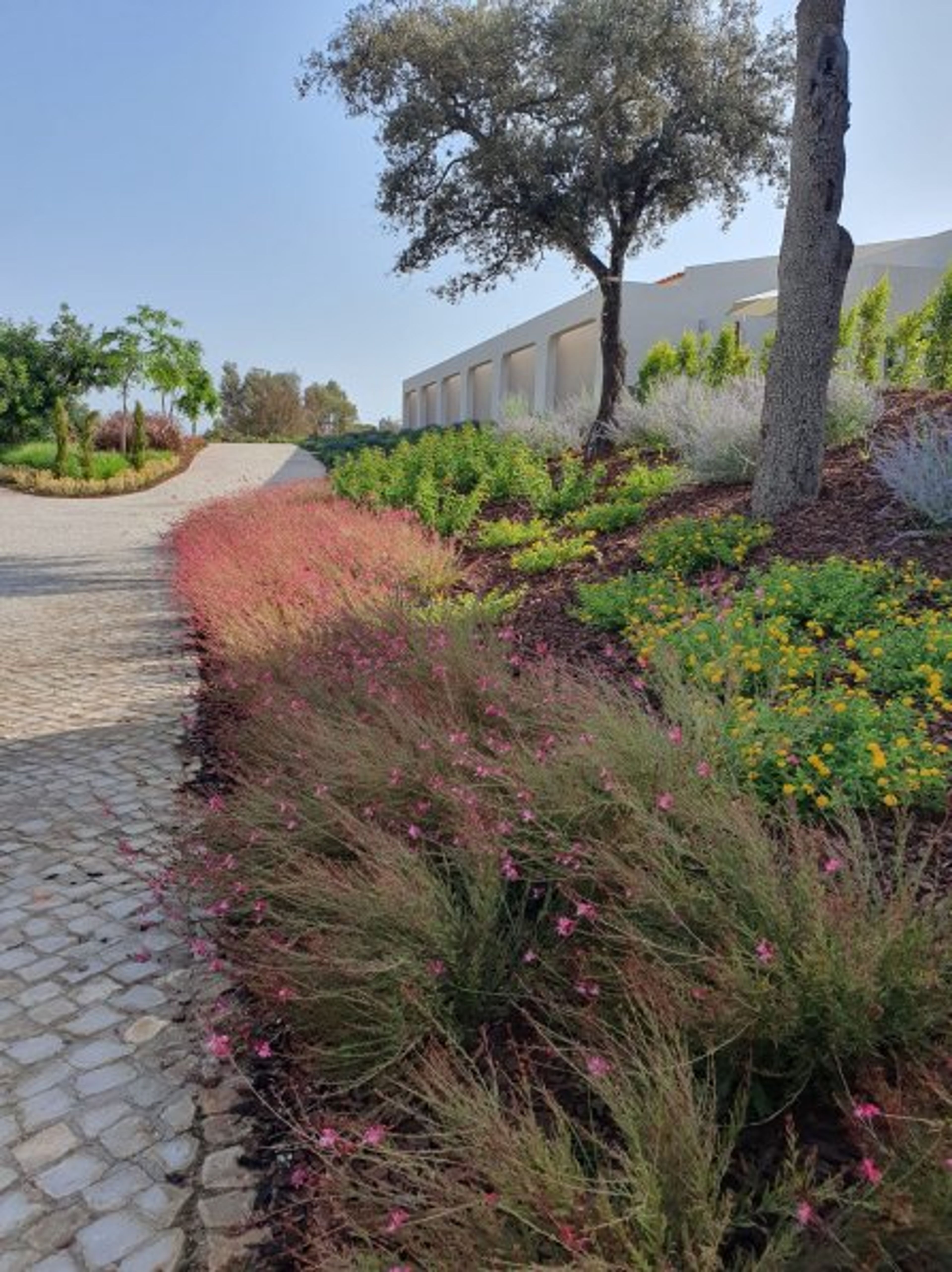 Entrance, right reception, left parking