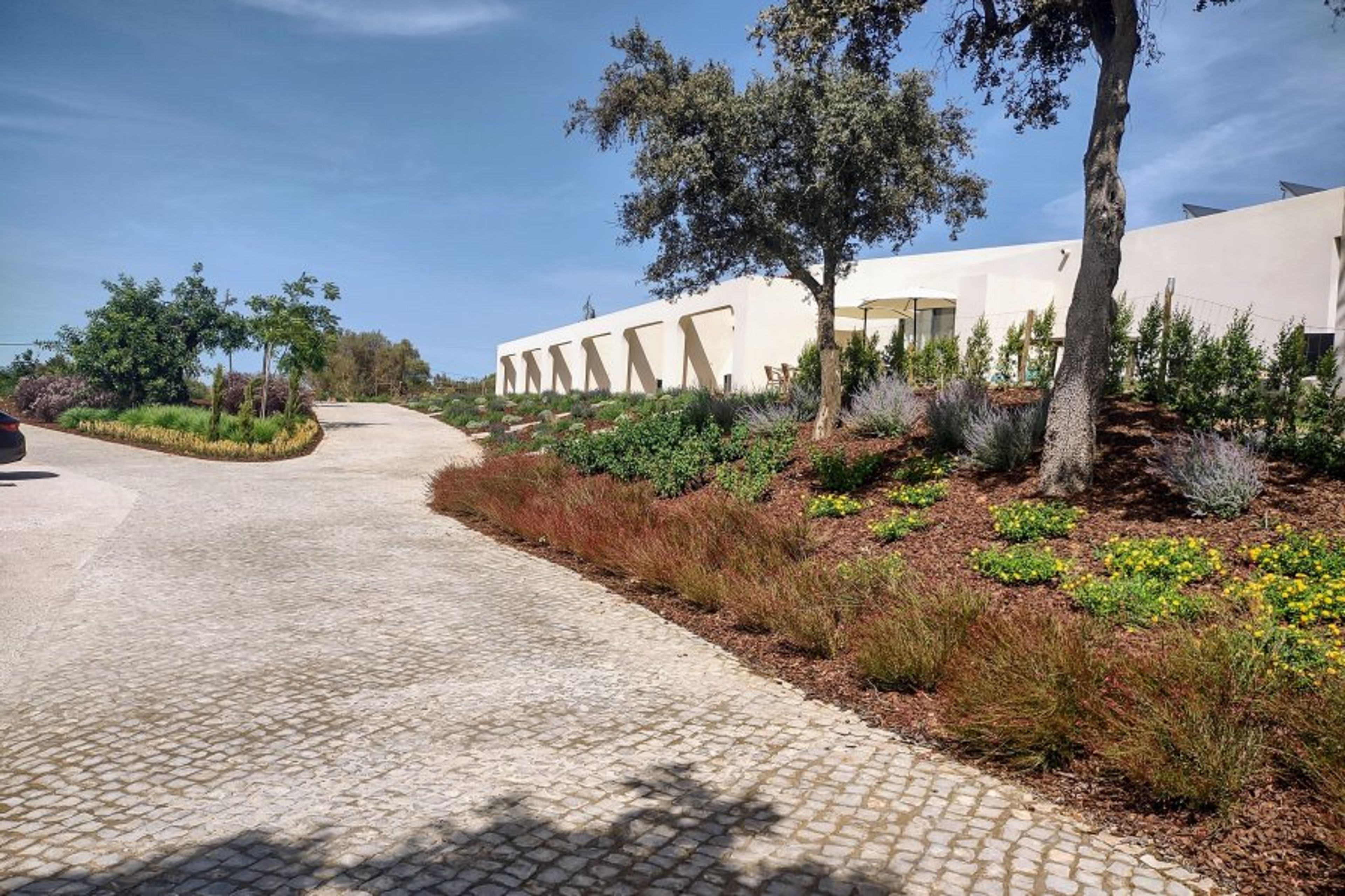 suites at the front and the garden