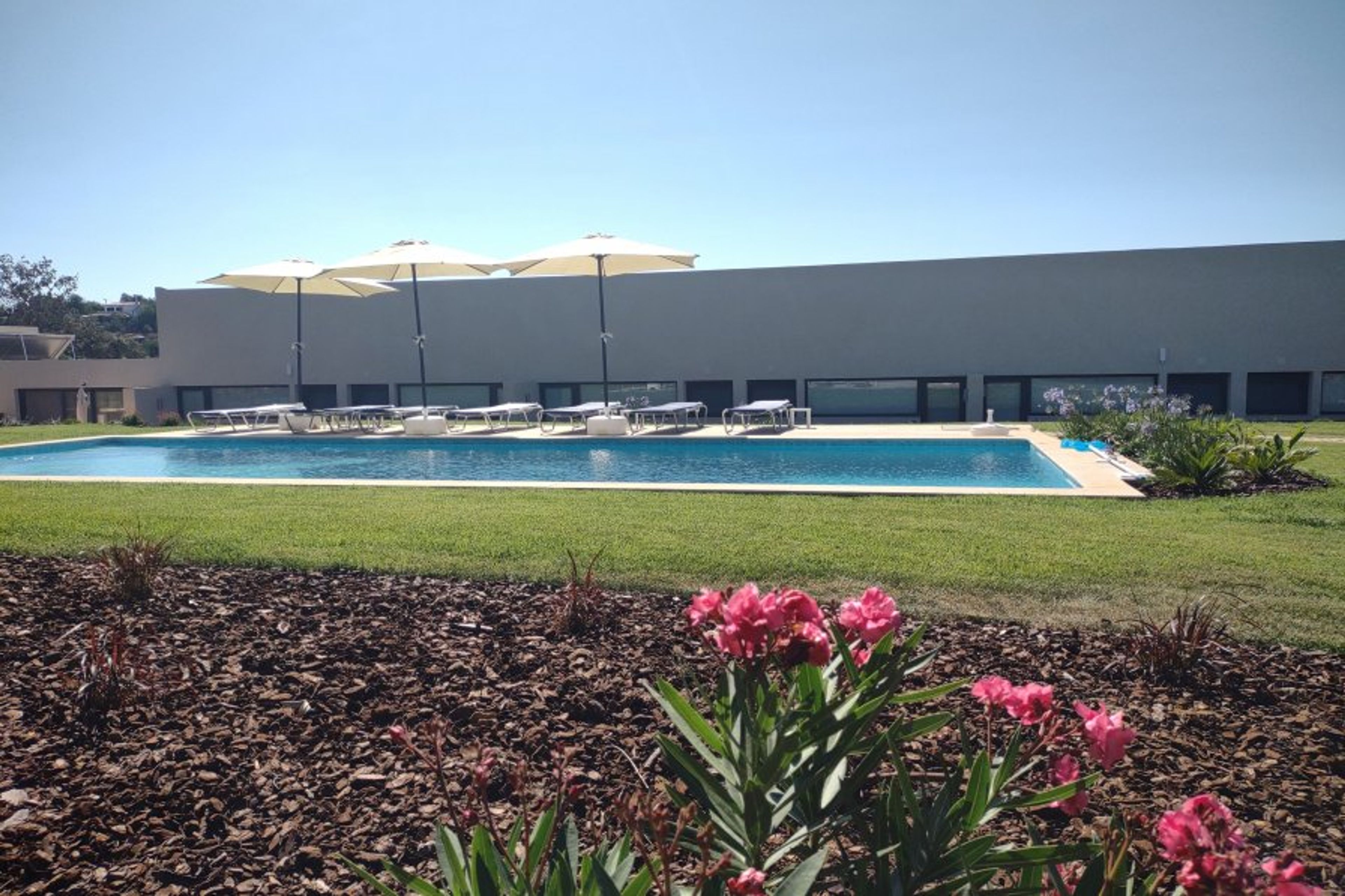 Magnesium Pool in the flower garden