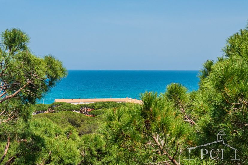 Apartment in Spain, Pals