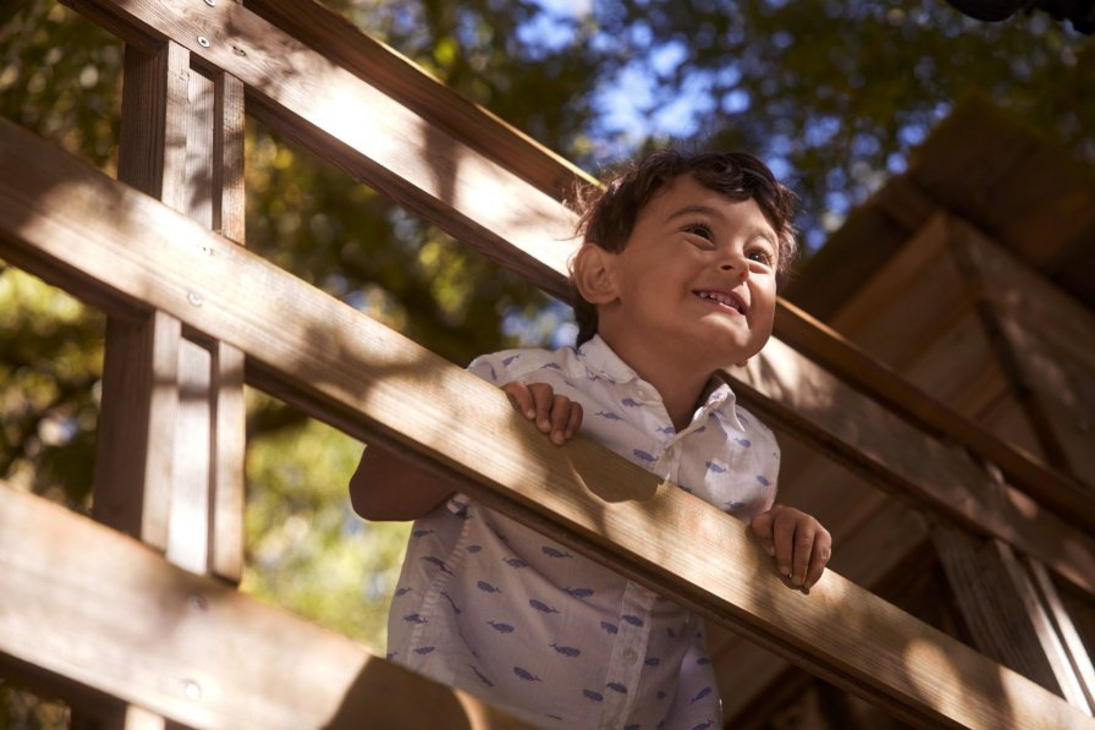 Tree house for hours of play time