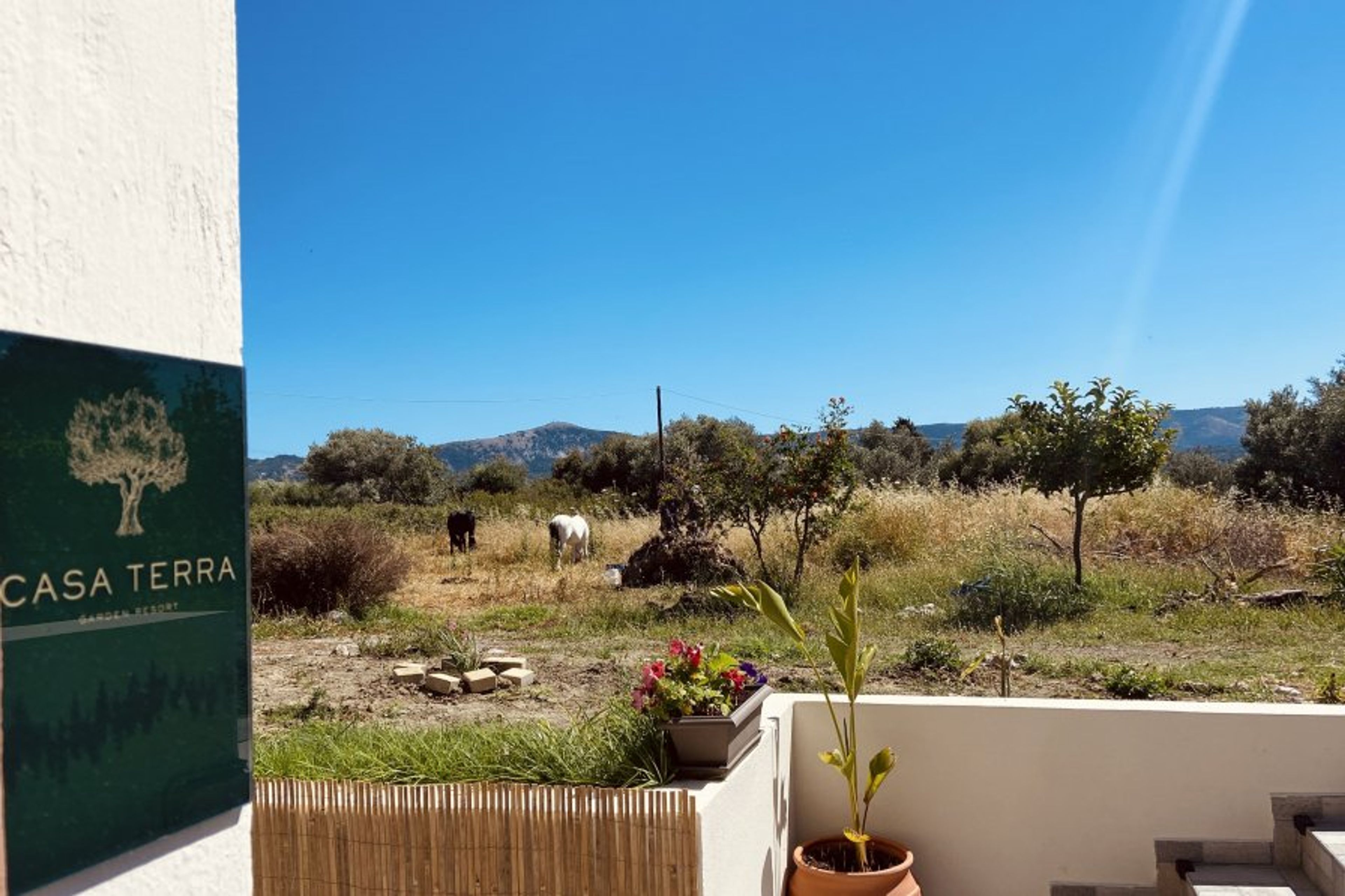 Casa Terra, Kremasti Rhodes