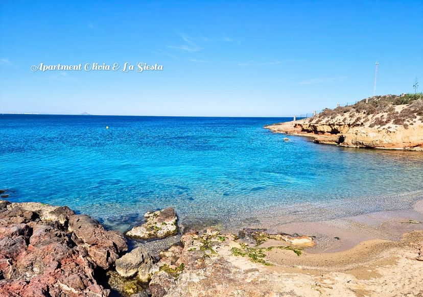 Apartment in Spain, Torrevieja