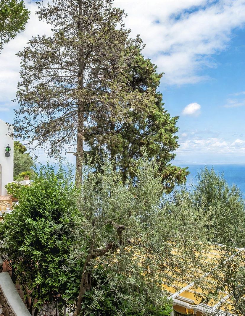 Villa in Italy, Capri