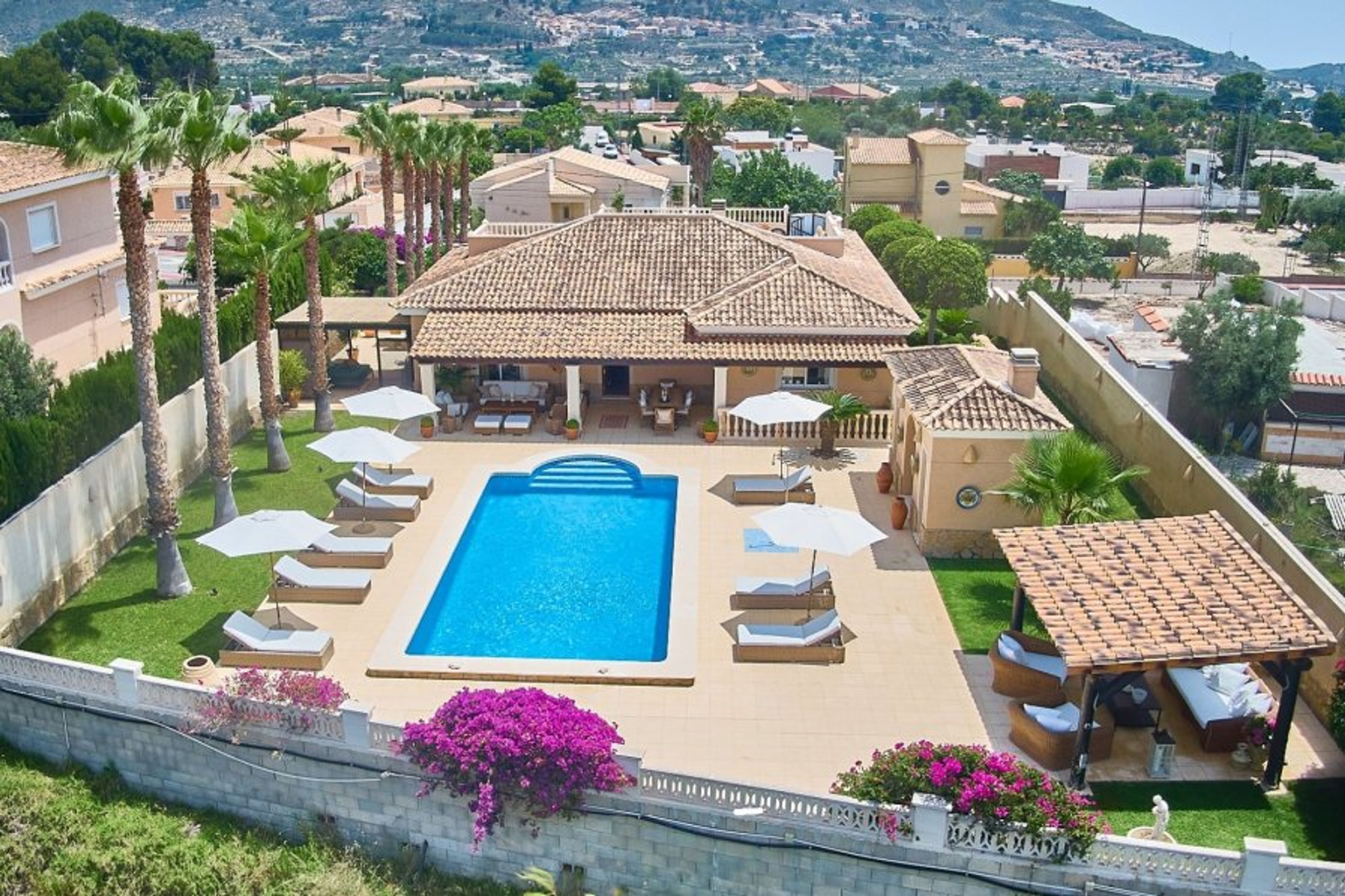 Pool area with pool house and lounges